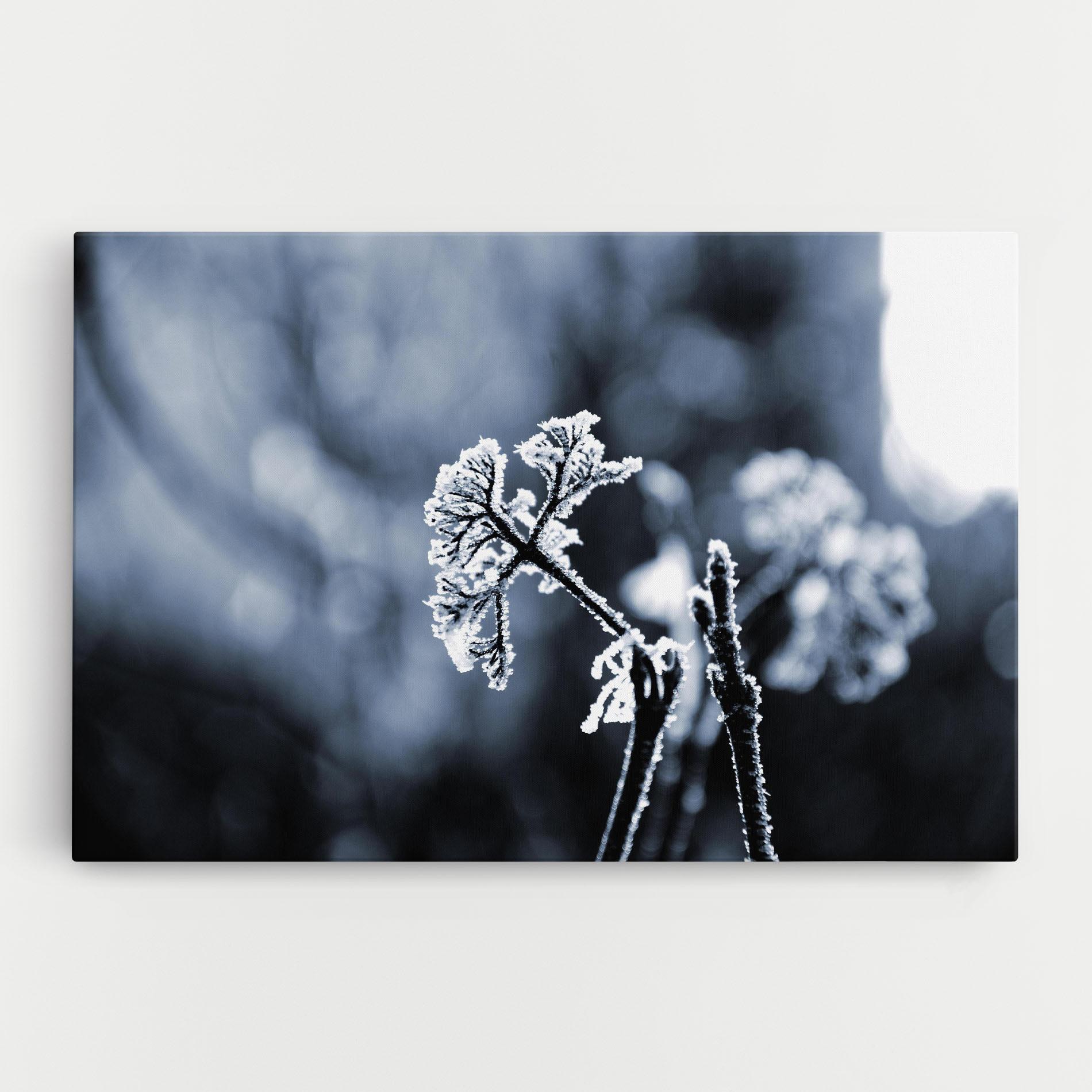 Leinwandbild Winter Plant mockup 0