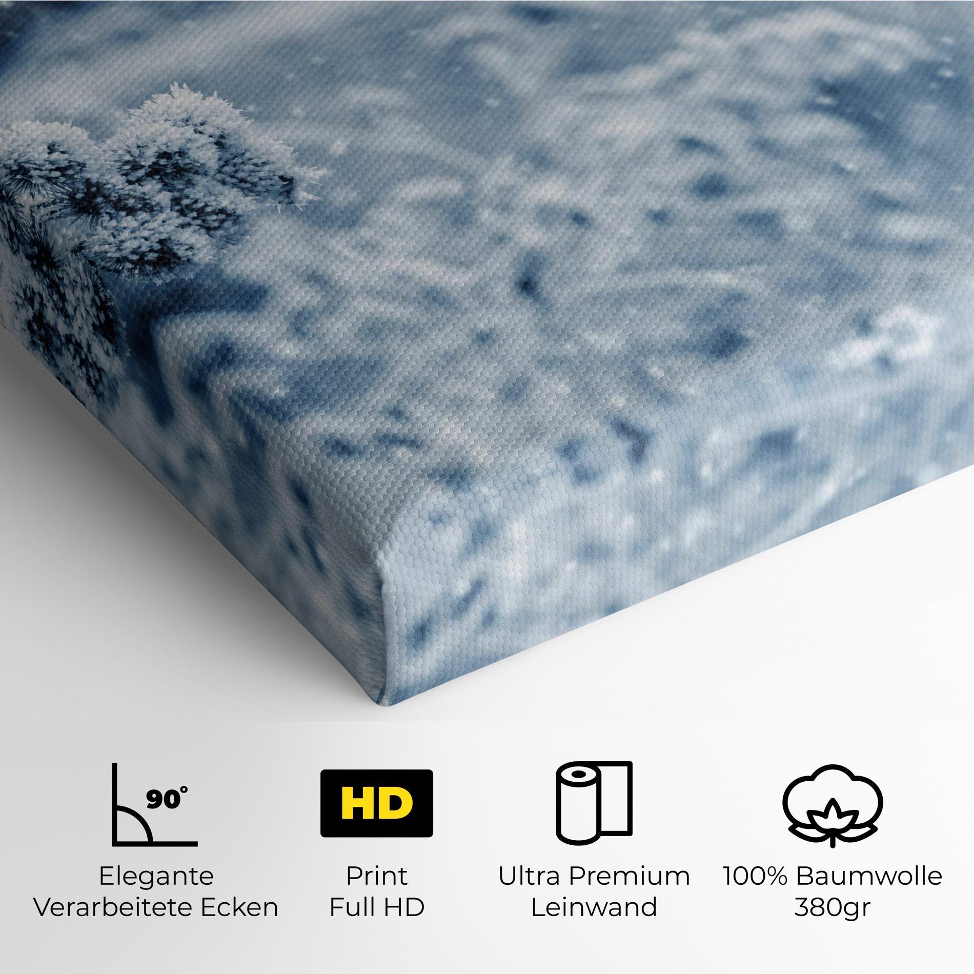 Leinwandbild Pretty Winter Plants mockup 4