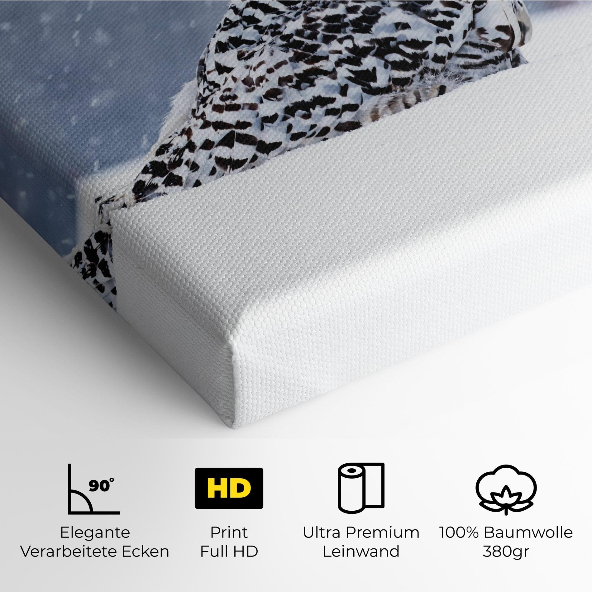 Leinwandbild Snow Owl mockup 4