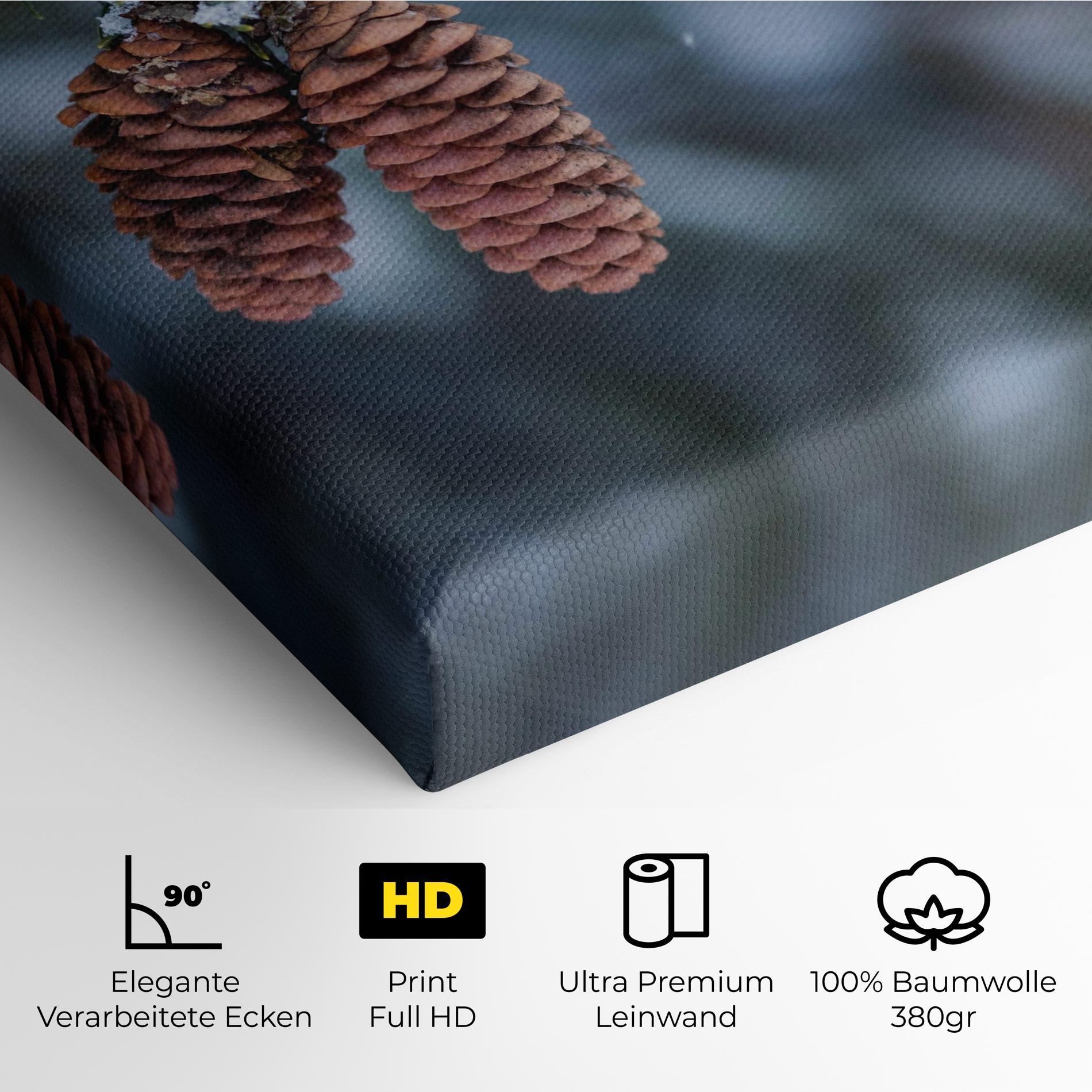 Leinwandbild Winter Cones mockup 4