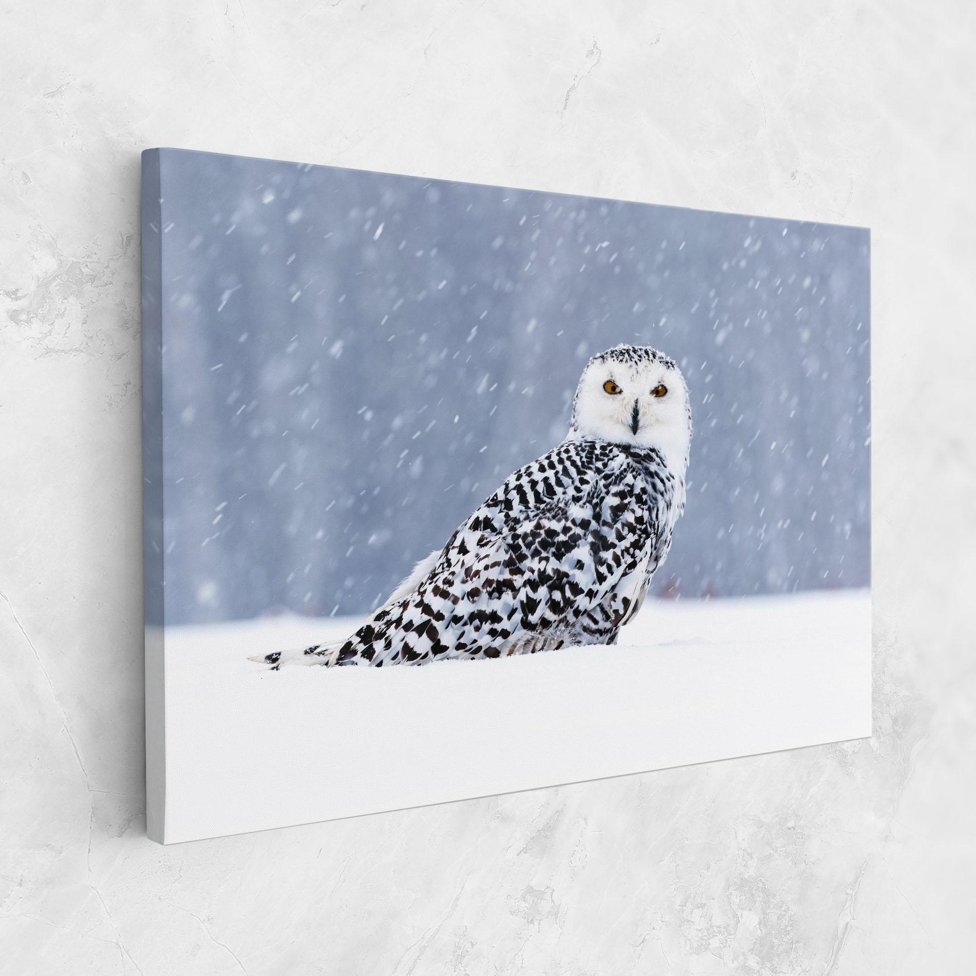 Leinwandbild Snow Owl mockup 1