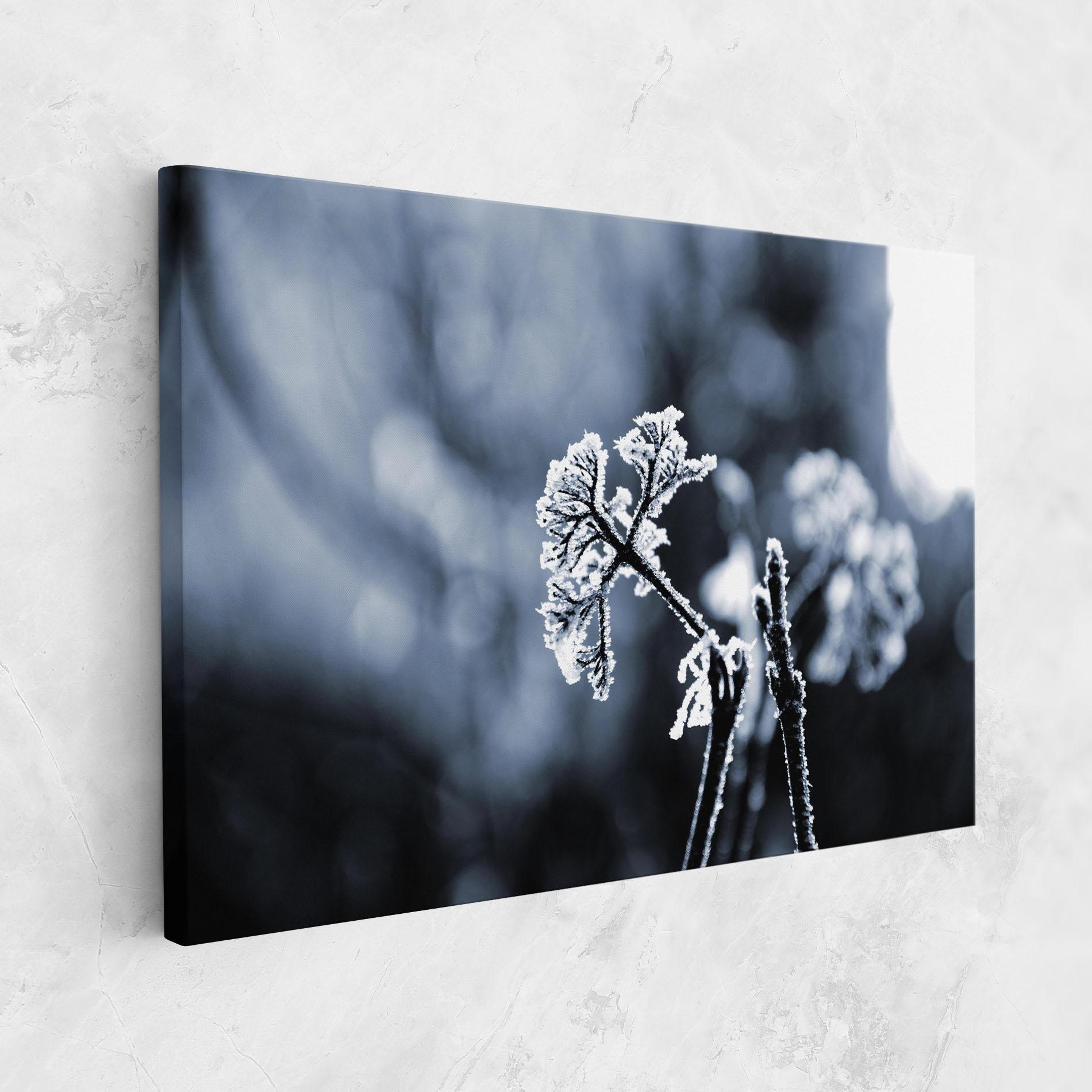 Leinwandbild Winter Plant mockup 1