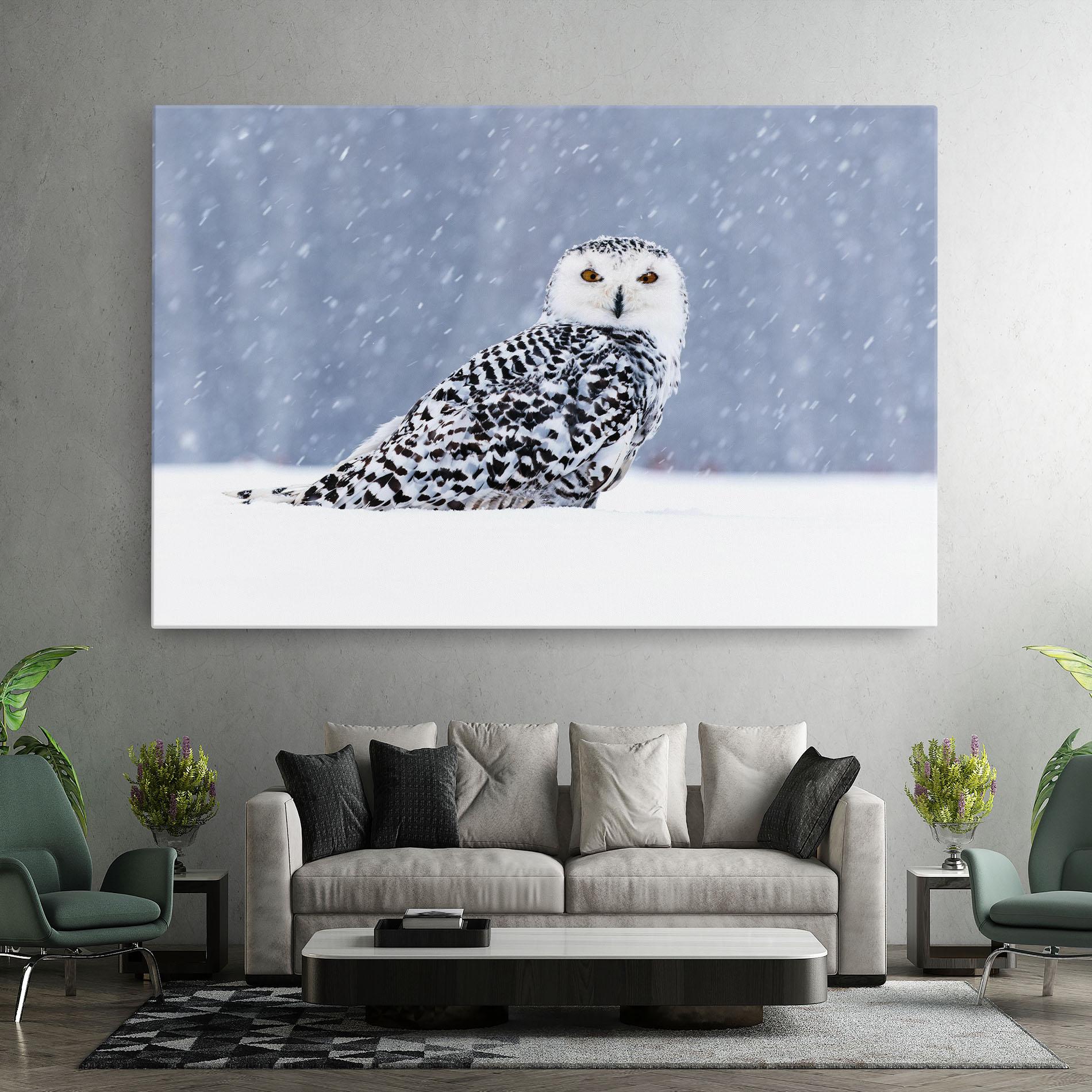 Leinwandbild Snow Owl mockup 7