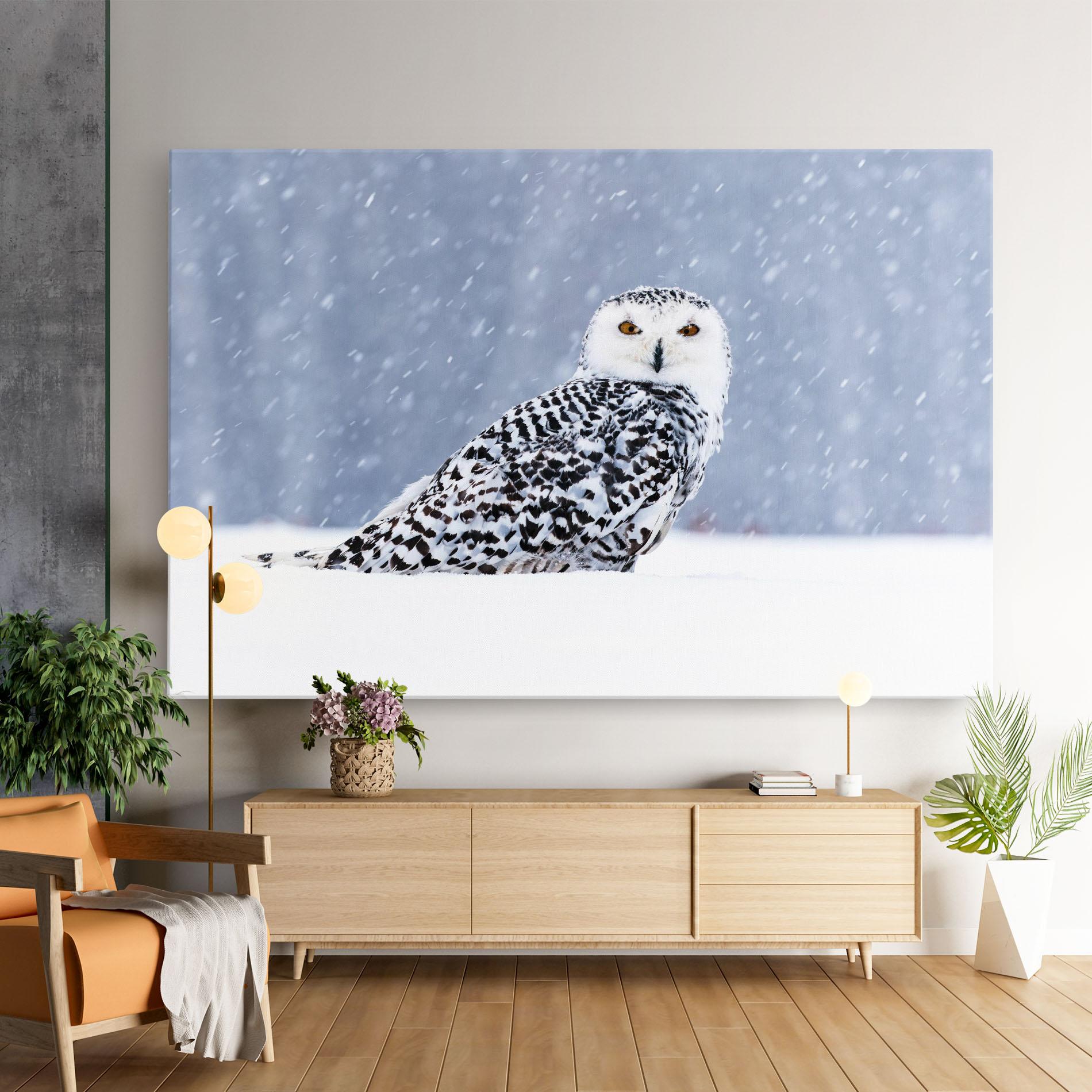Leinwandbild Snow Owl mockup 9