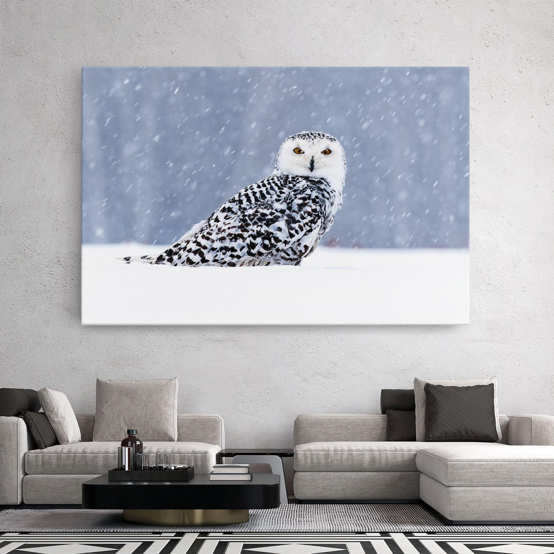 Leinwandbild Snow Owl mockup 2