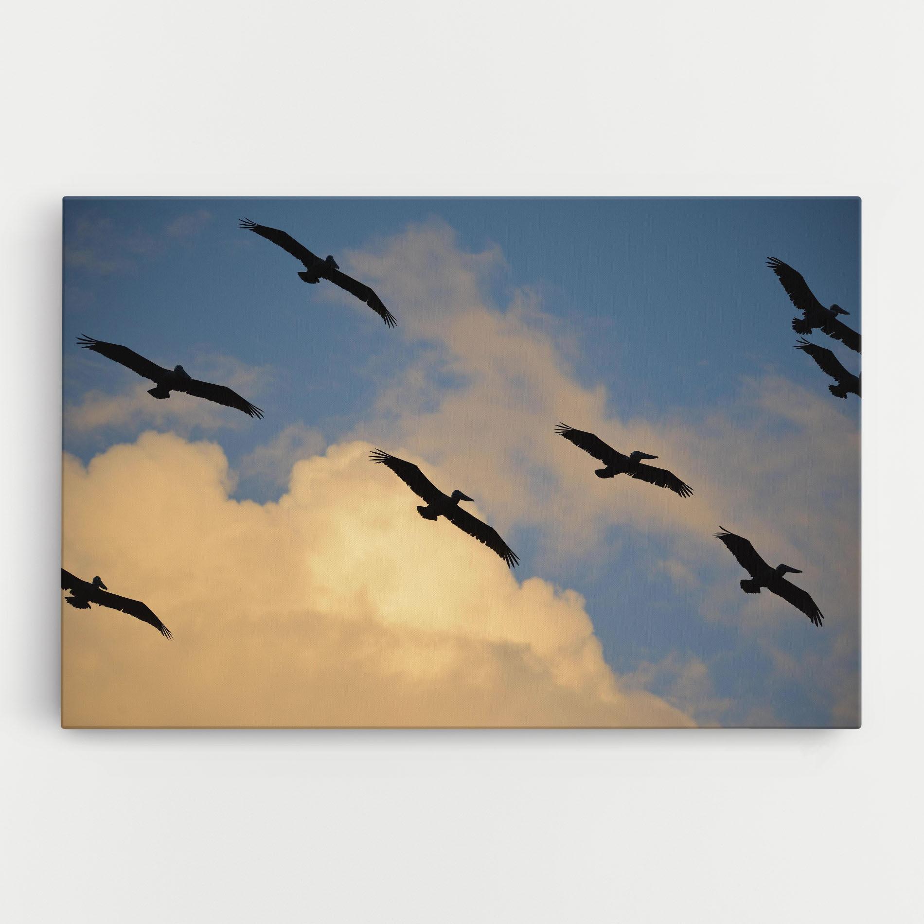 Leinwandbild Bird Shilouette Cloud mockup 0