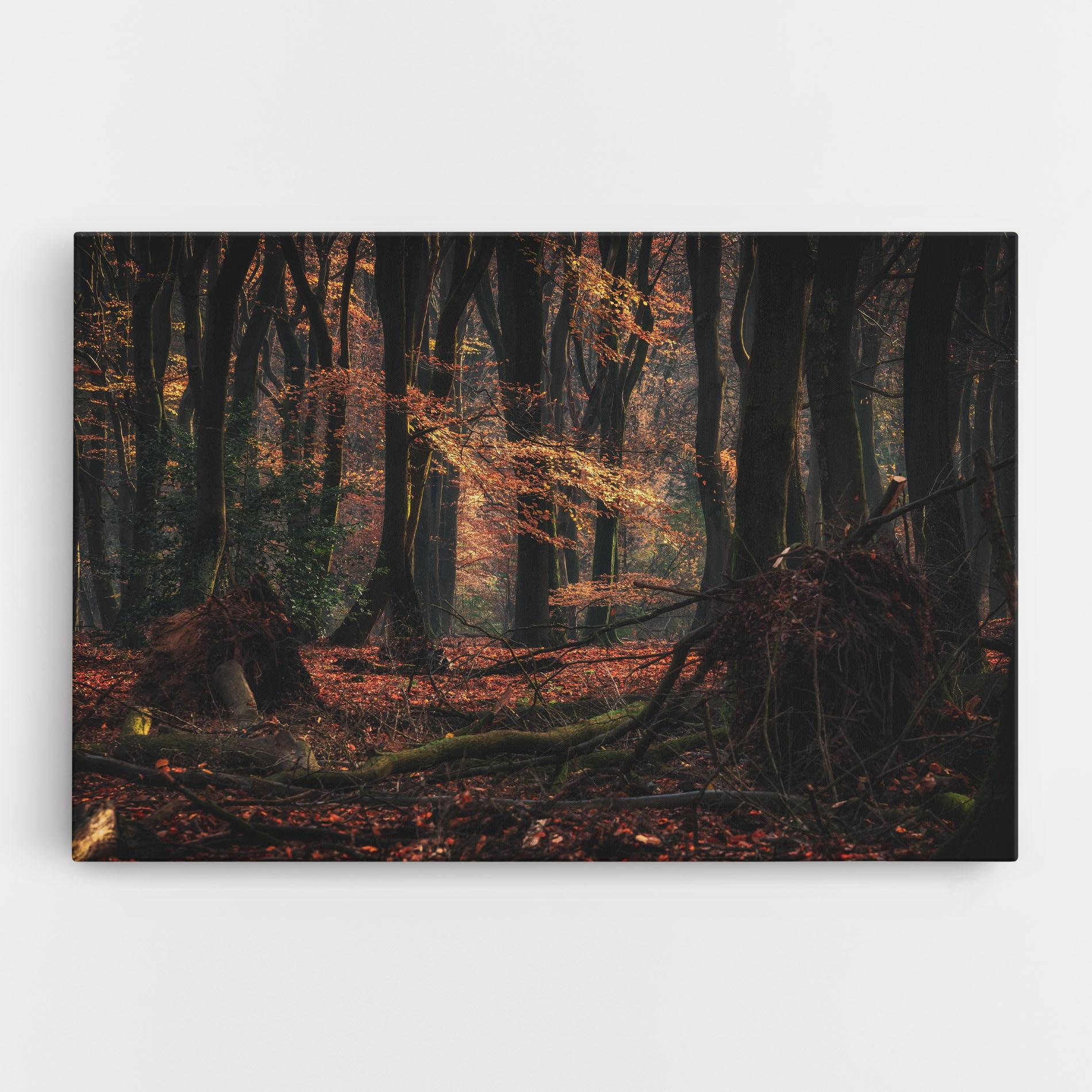 Leinwandbild Autumn Forest Trees mockup 0