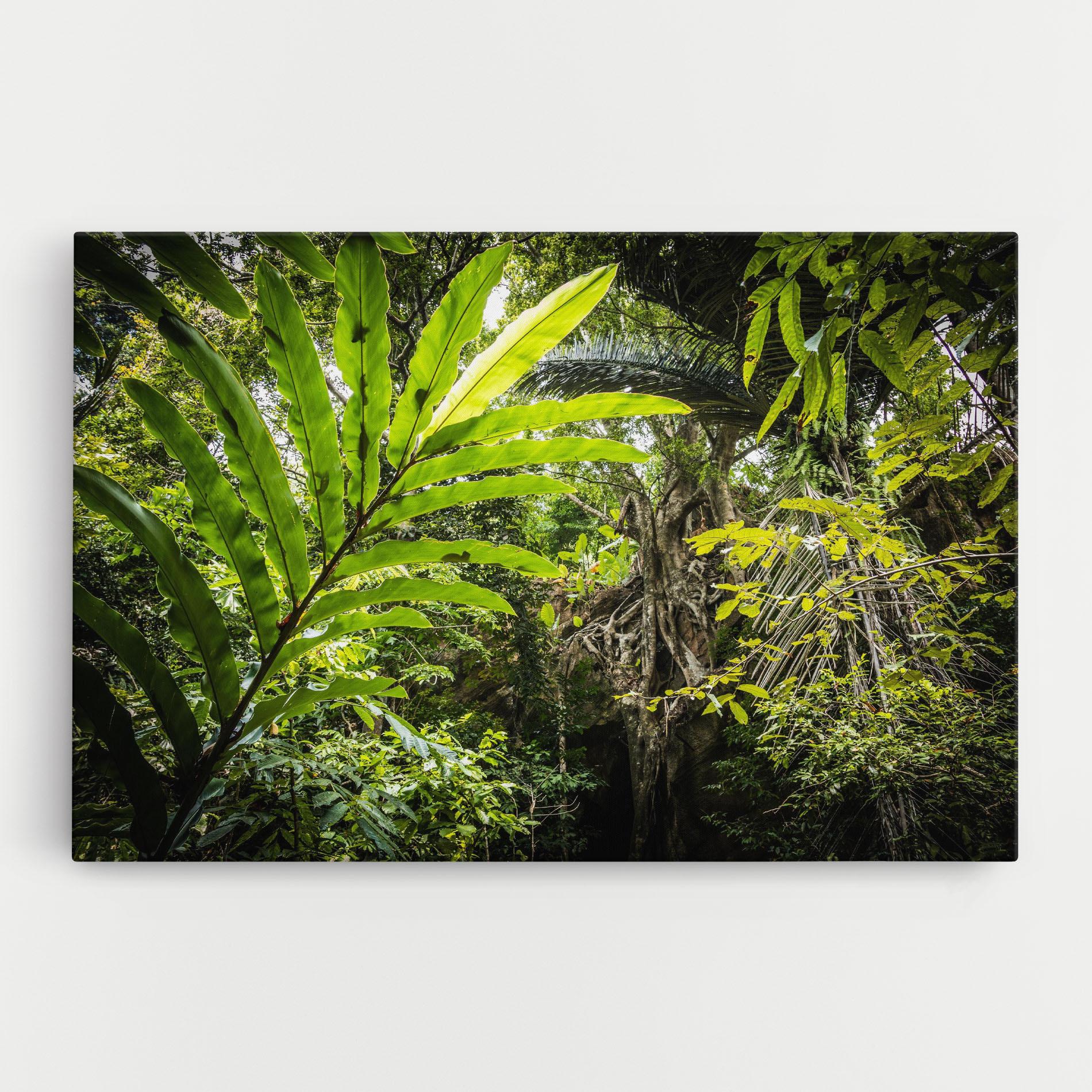 Leinwandbild Big Leaf Forest mockup 0