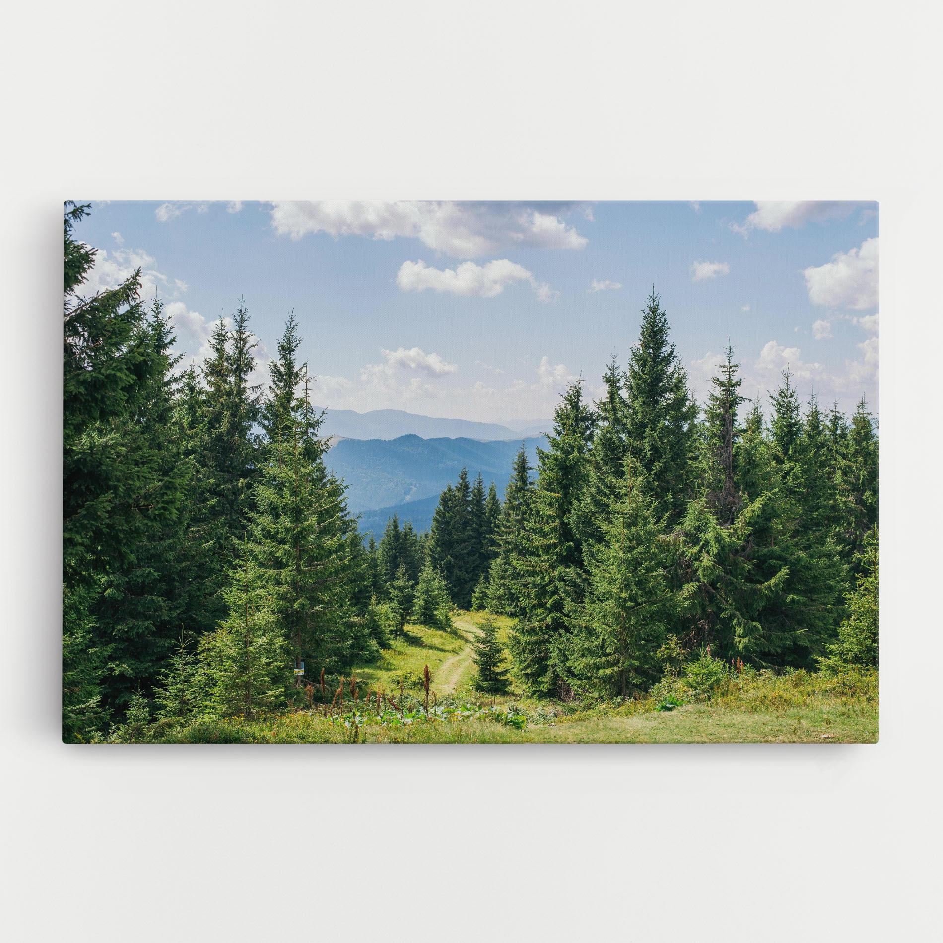 Leinwandbild Carpathian Mountain mockup 0