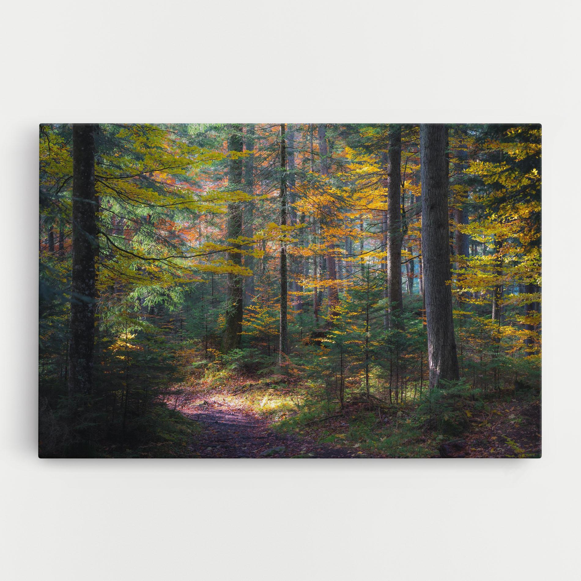 Leinwandbild Dreamy Path Dorest mockup 0