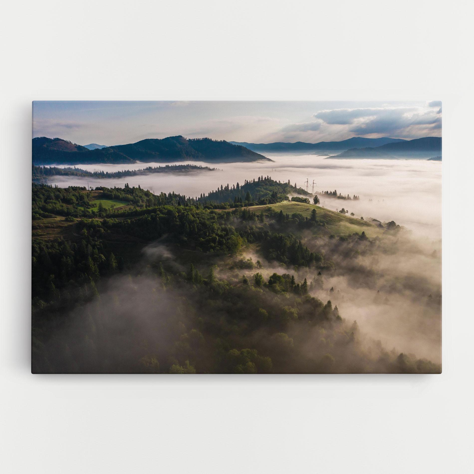 Leinwandbild Foggy Forest View mockup 0