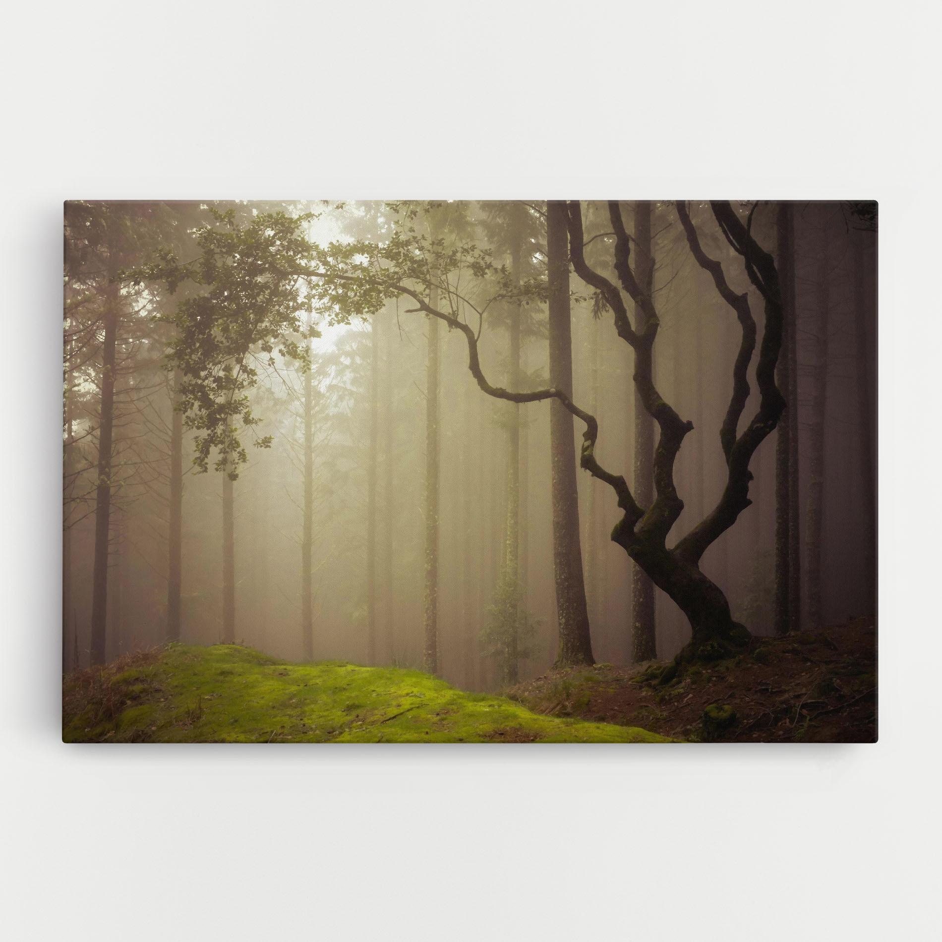 Leinwandbild Foggy Tree Art mockup 0