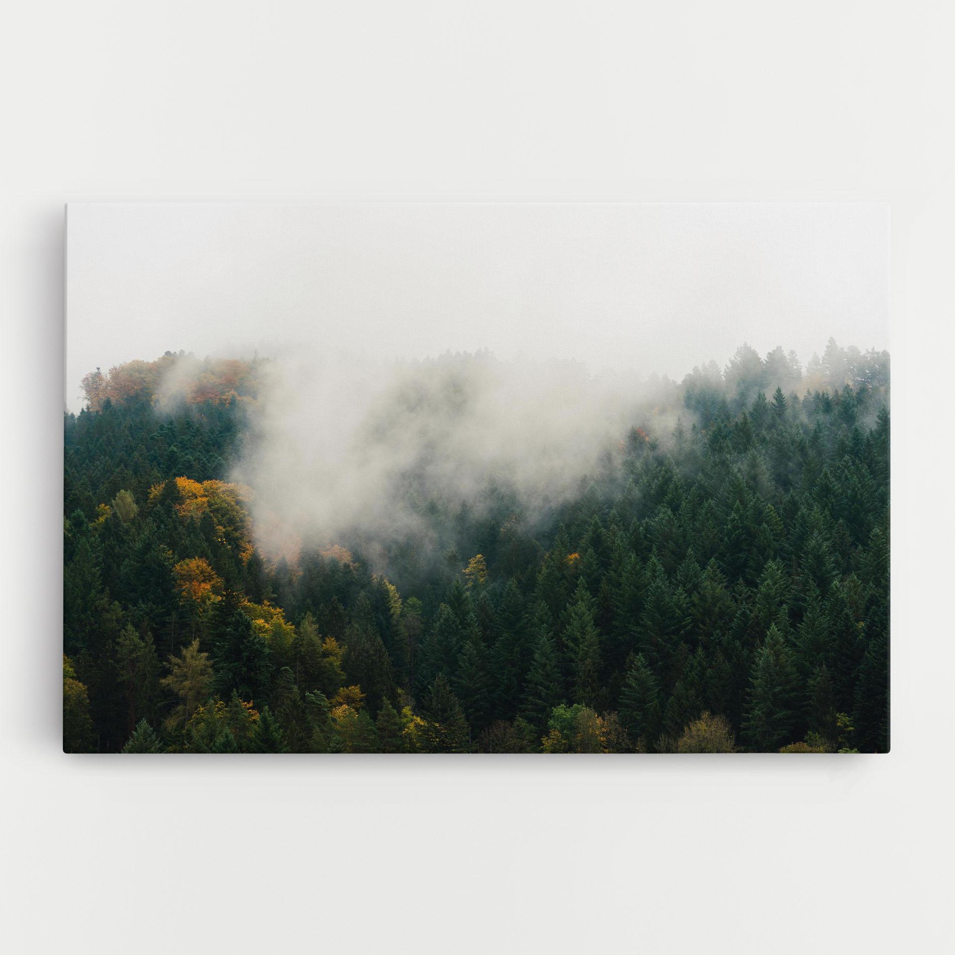 Leinwandbild Foggy Tree Forest mockup 0