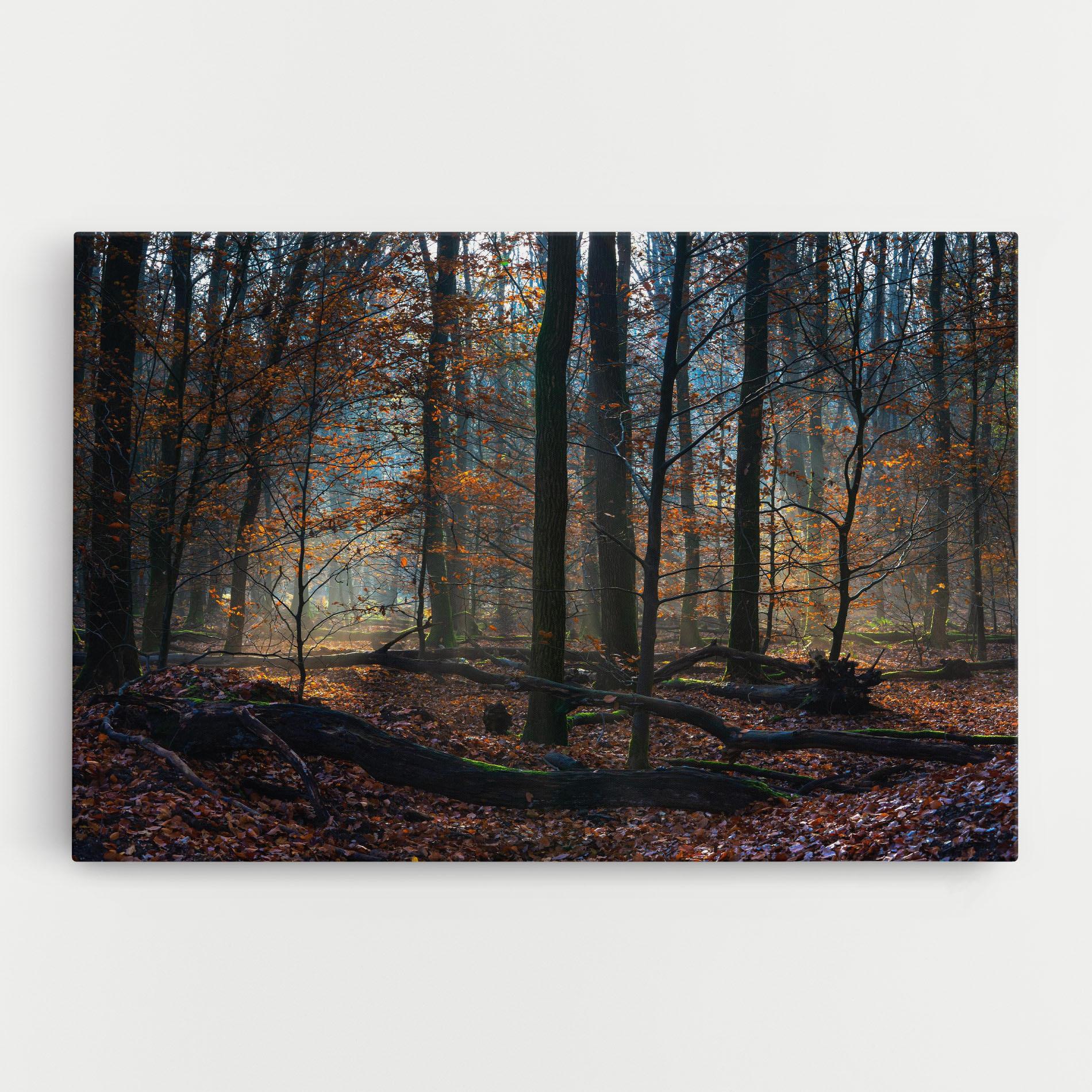 Leinwandbild Forest Autumn Day mockup 0