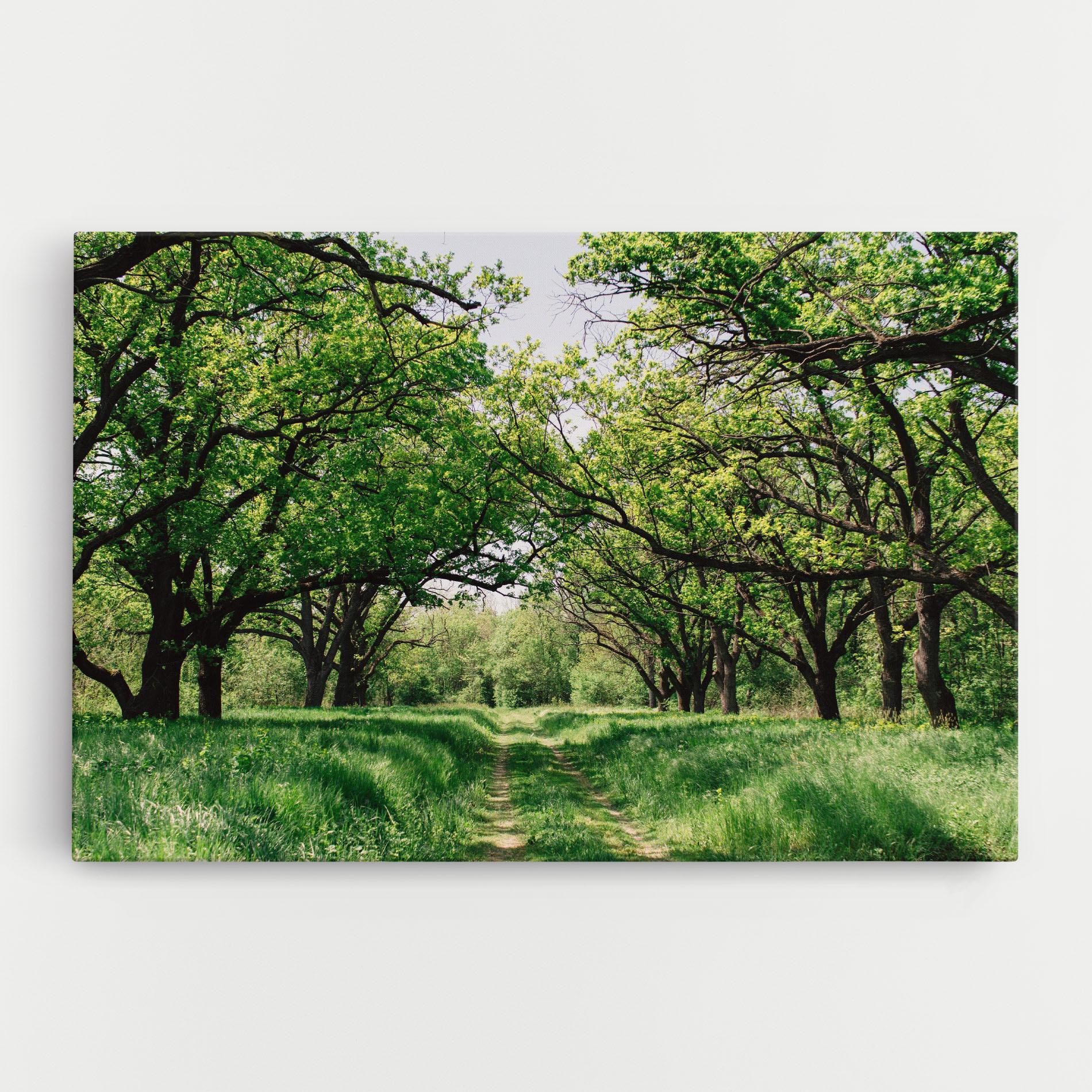 Leinwandbild Forest Green Path mockup 0