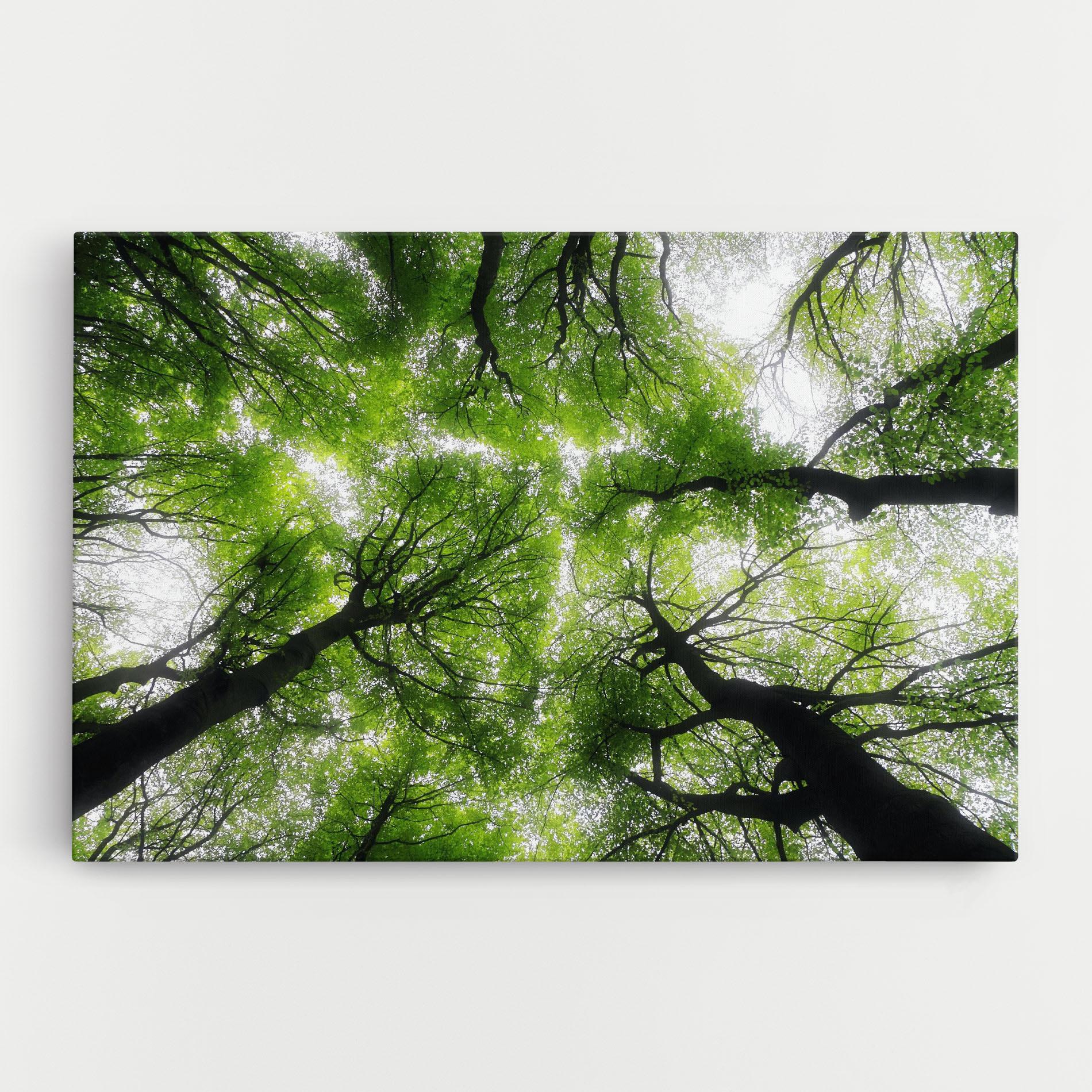 Leinwandbild Forest Green Tree mockup 0