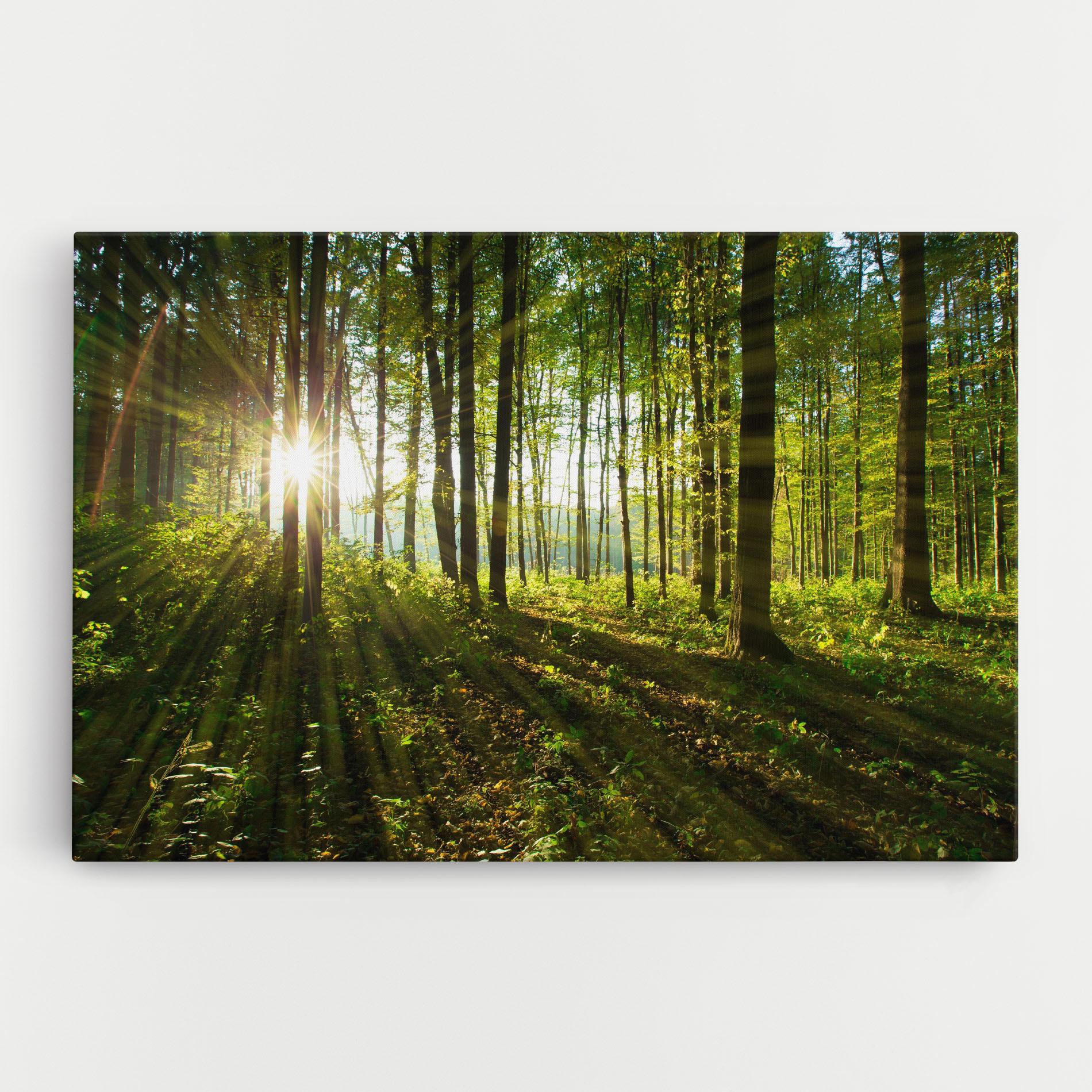 Leinwandbild Green Light Forest mockup 0