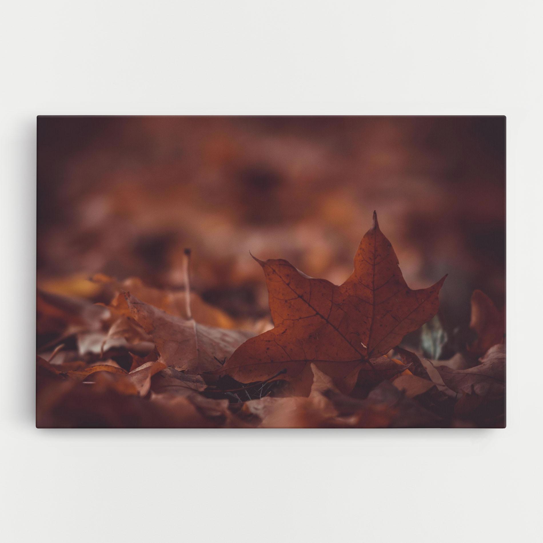 Leinwandbild Kristian Seedorff Bl1jBUEIeo8 Unsplash mockup 0