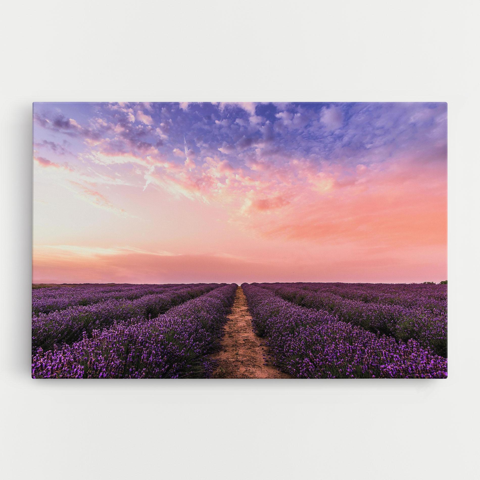 Leinwandbild Lavender Field mockup 0