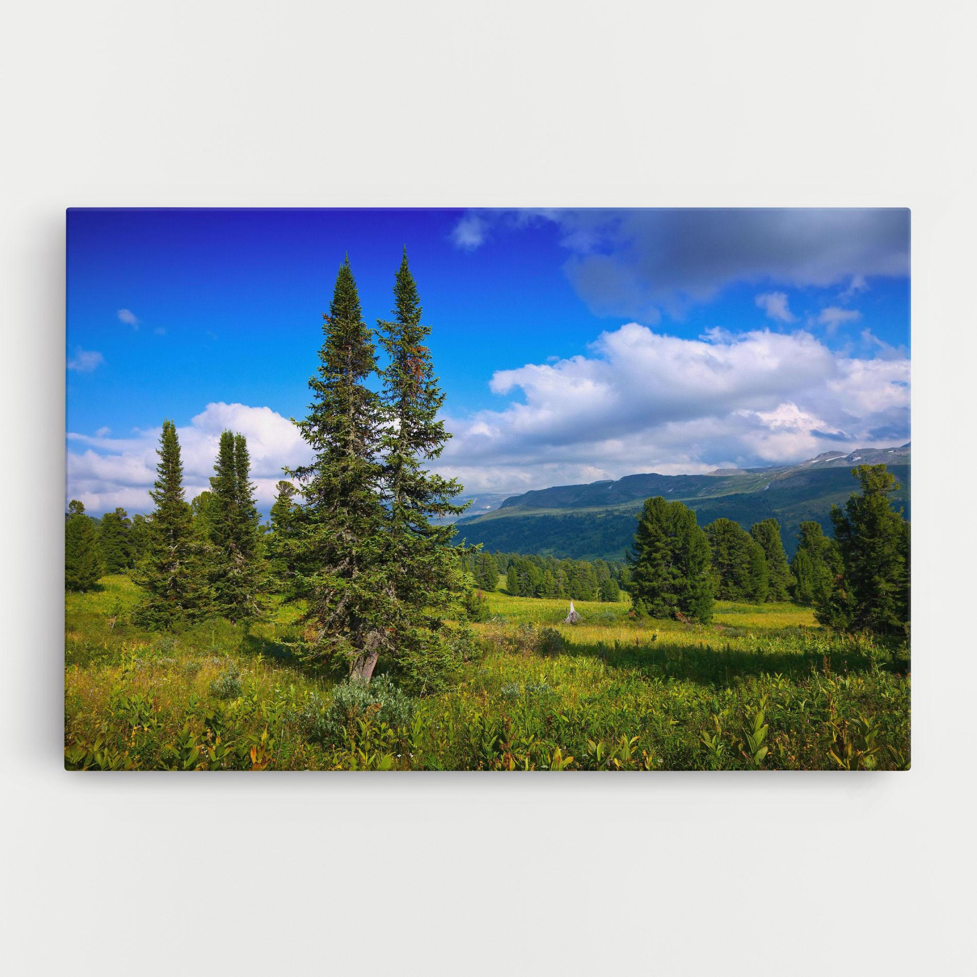 Leinwandbild Morning Sunny Field mockup 0