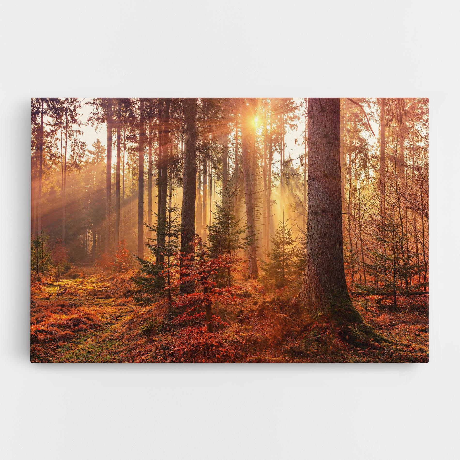 Leinwandbild Orange Light Forest mockup 0