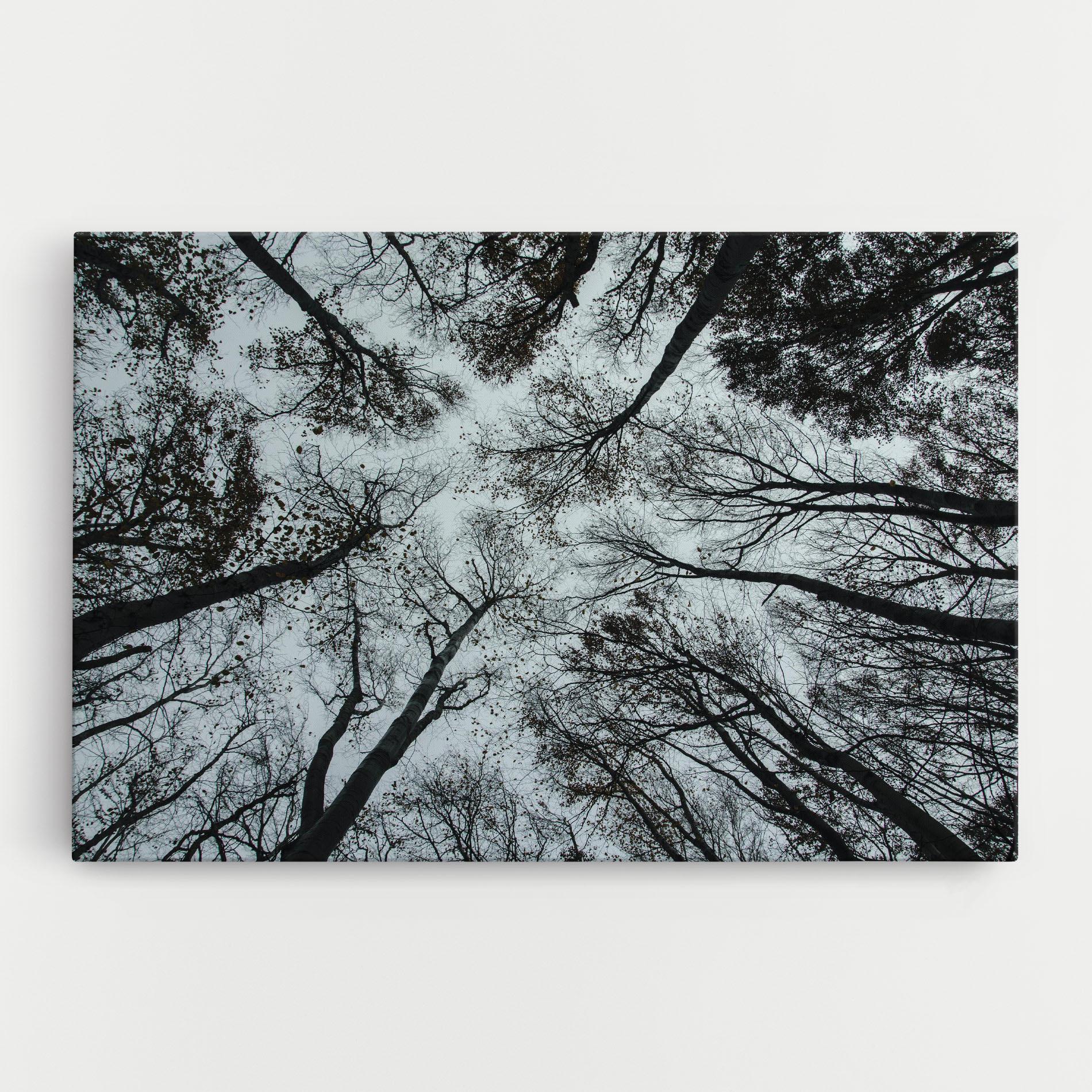Leinwandbild Trees Touching mockup 0