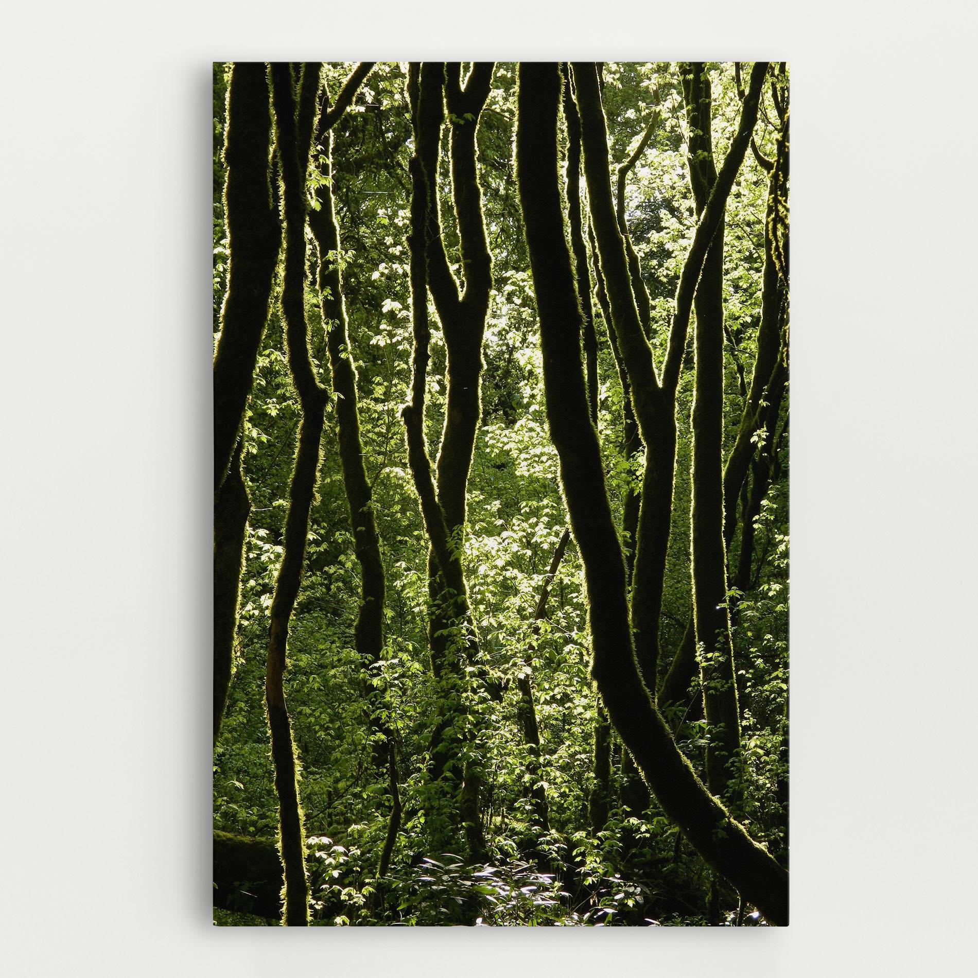 Leinwandbild Forest Black Trees mockup 0