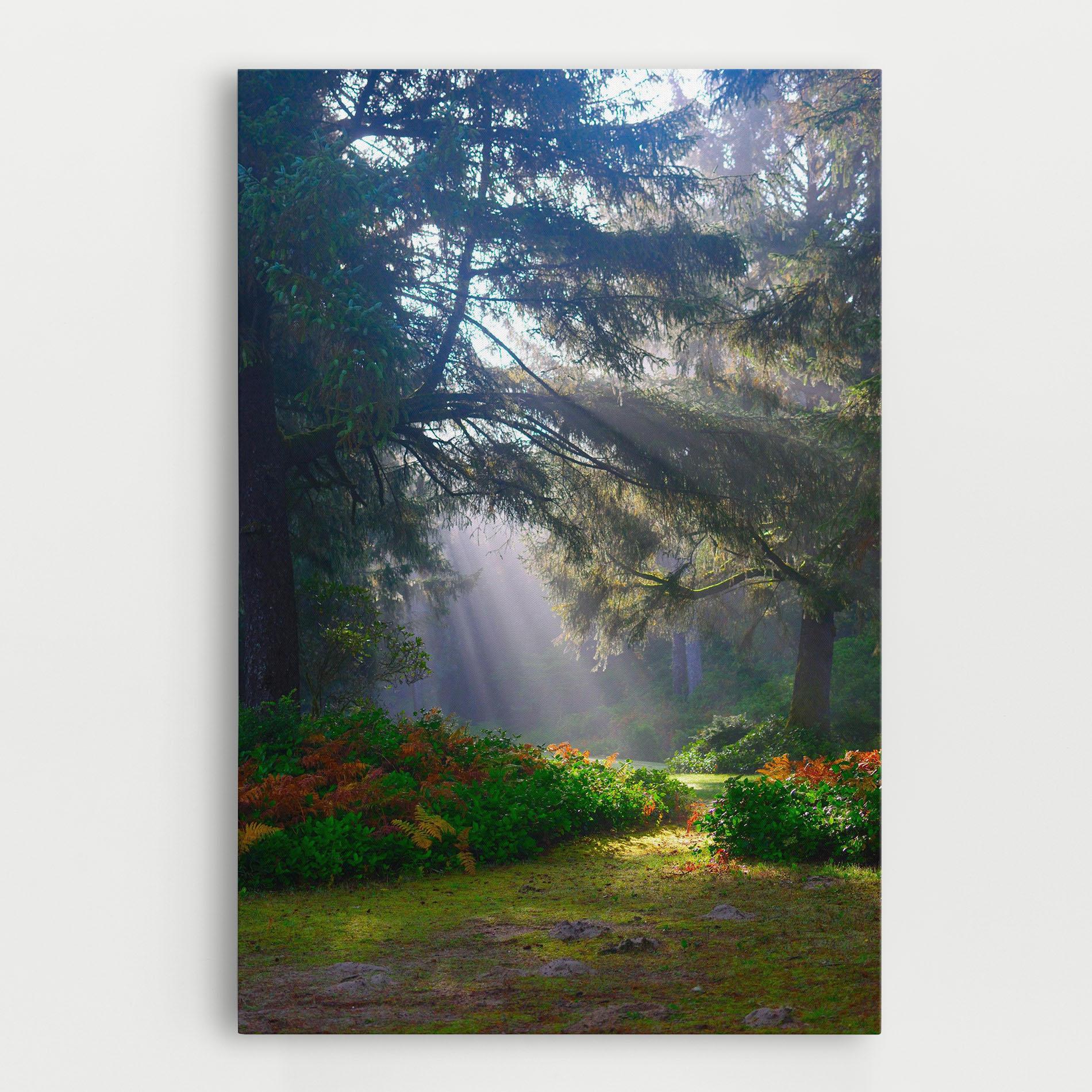 Leinwandbild Forest Light mockup 0