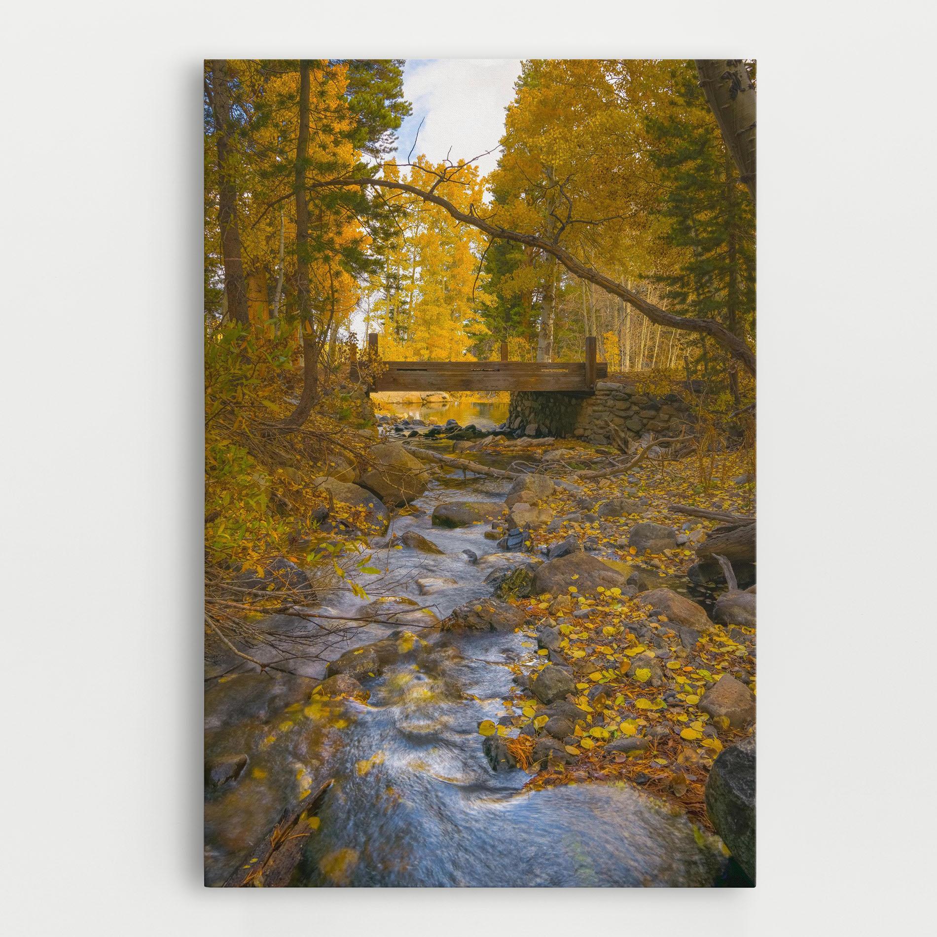 Leinwandbild Yellow View Forest mockup 0