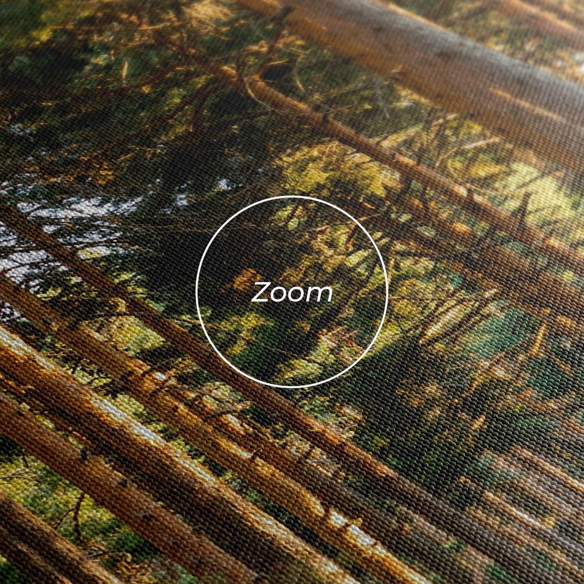 Leinwandbild Big Trees Forest mockup 3