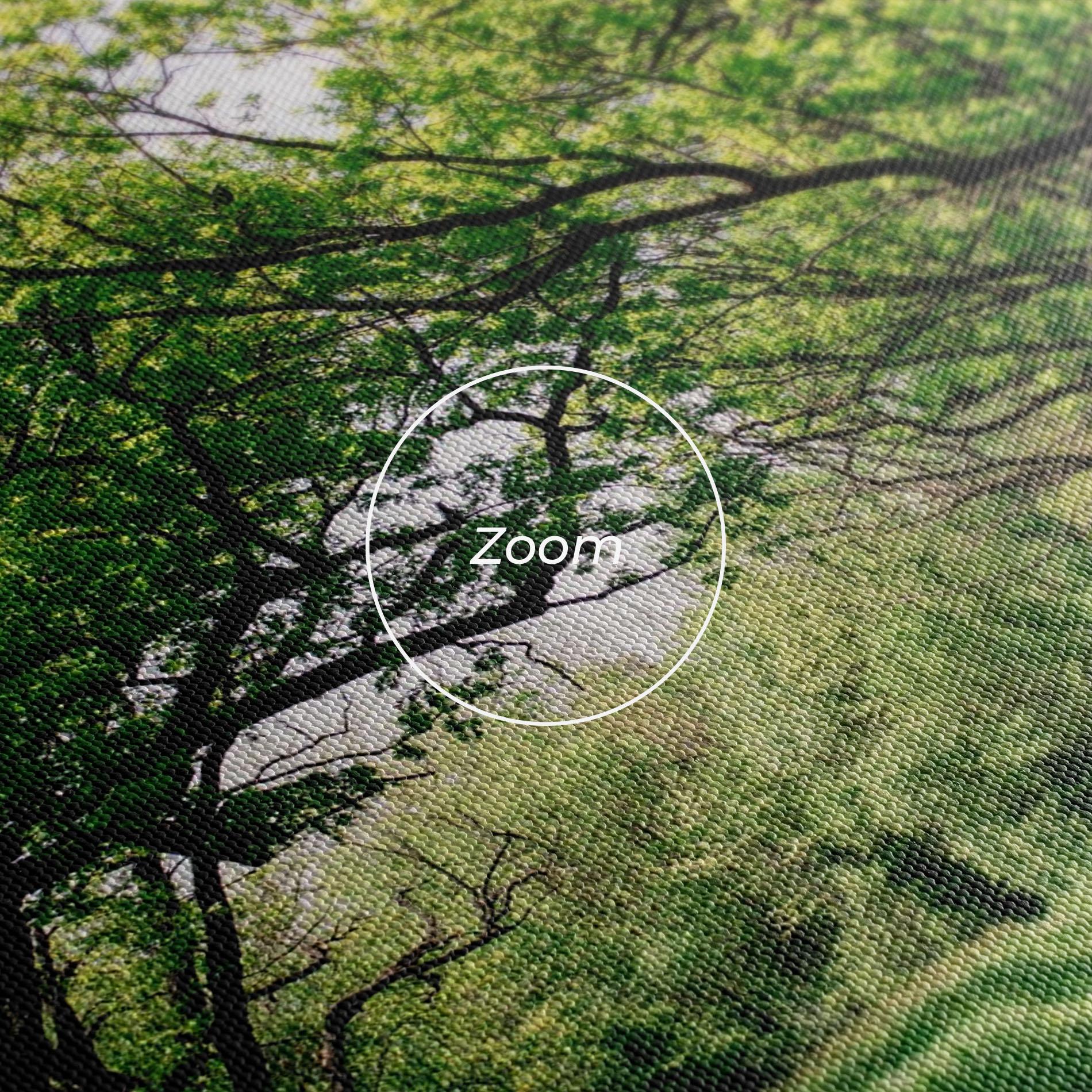 Leinwandbild Forest Green Path mockup 3