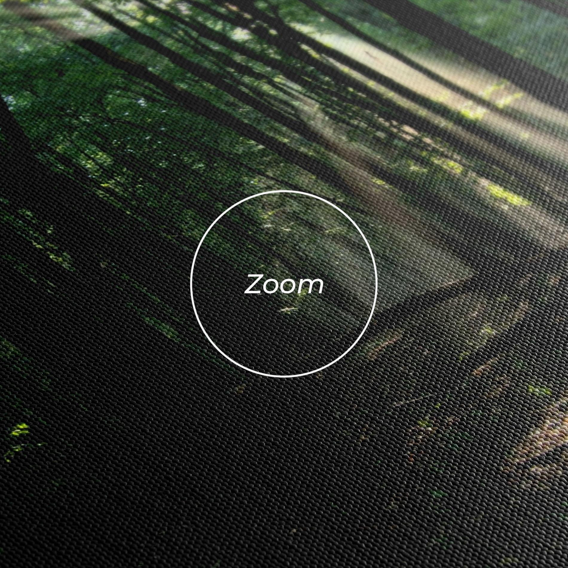 Leinwandbild Forest Sun Light mockup 3