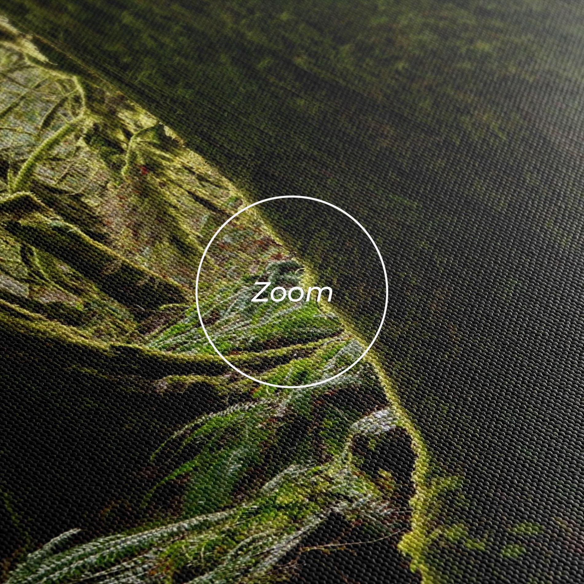 Leinwandbild Green Moss Forest mockup 3