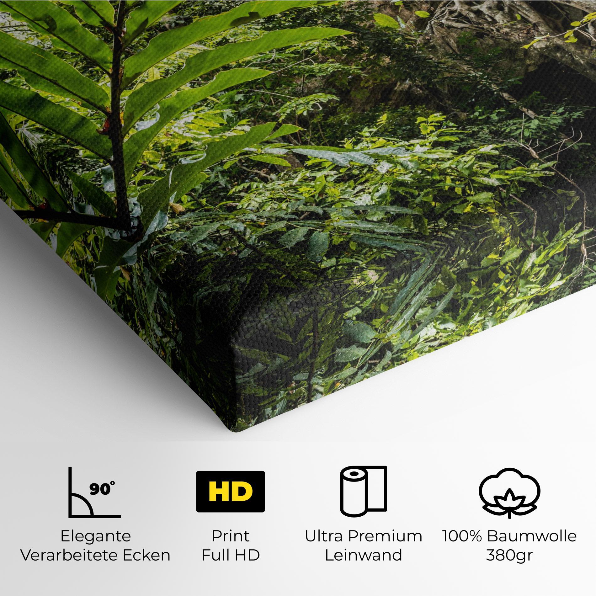 Leinwandbild Big Leaf Forest mockup 4