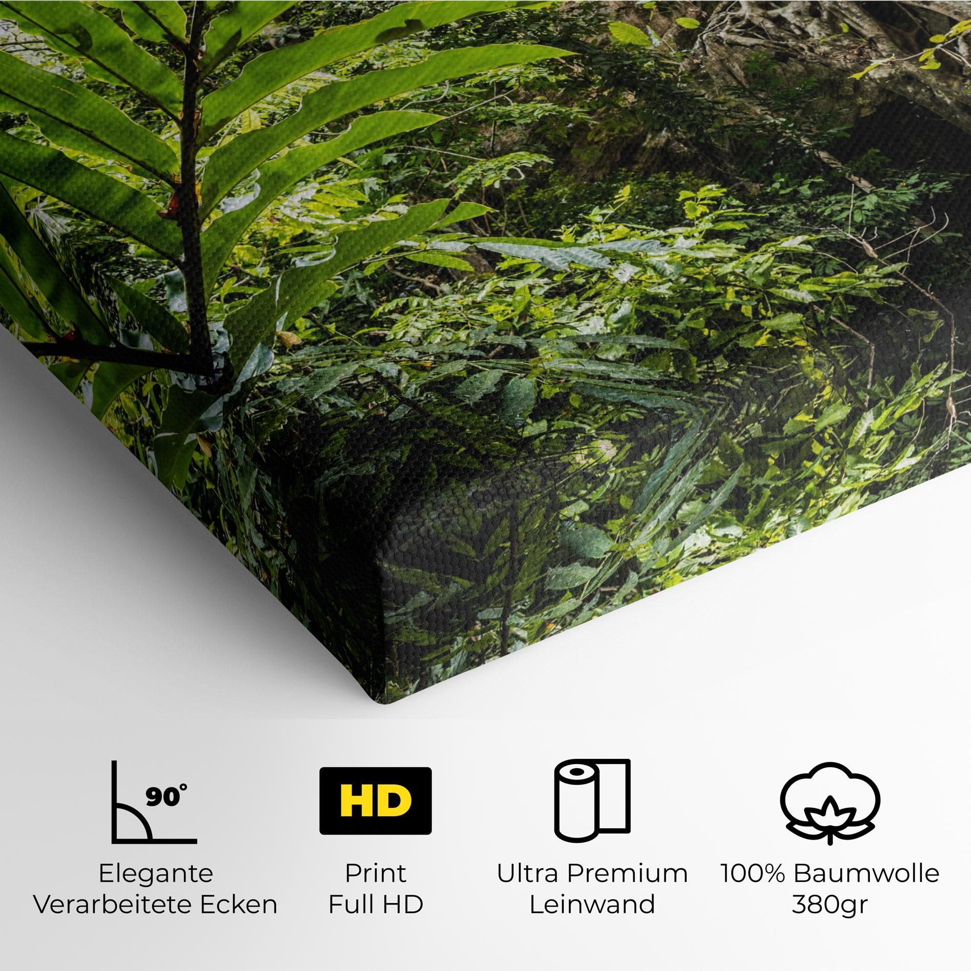 Big Leaf Forest mockup 4