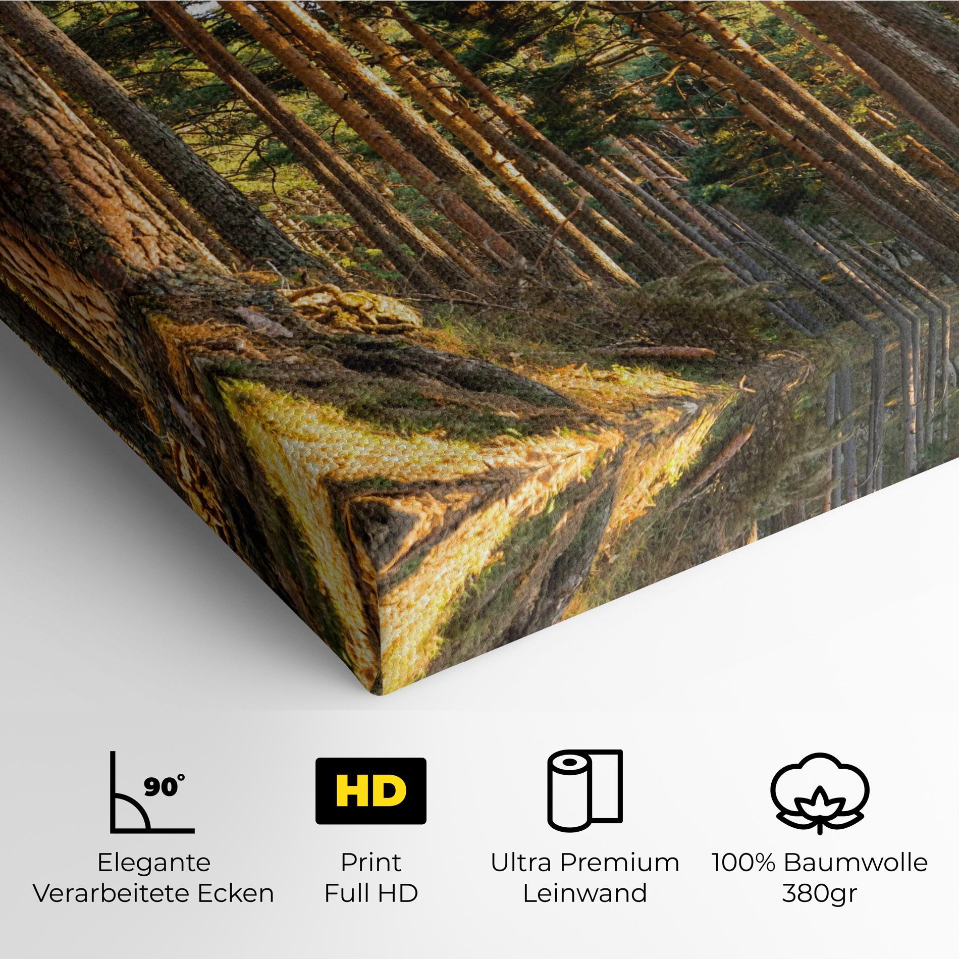 Leinwandbild Big Trees Forest mockup 4