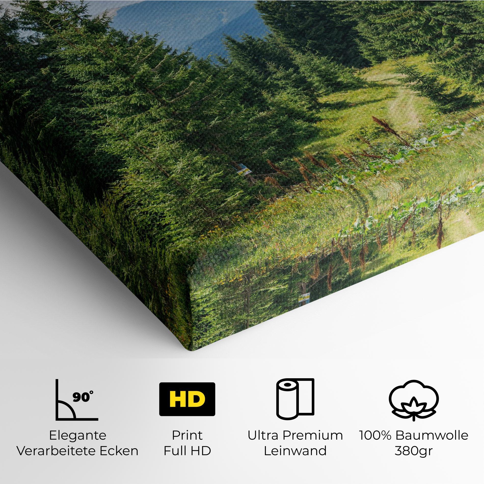 Leinwandbild Carpathian Mountain mockup 4