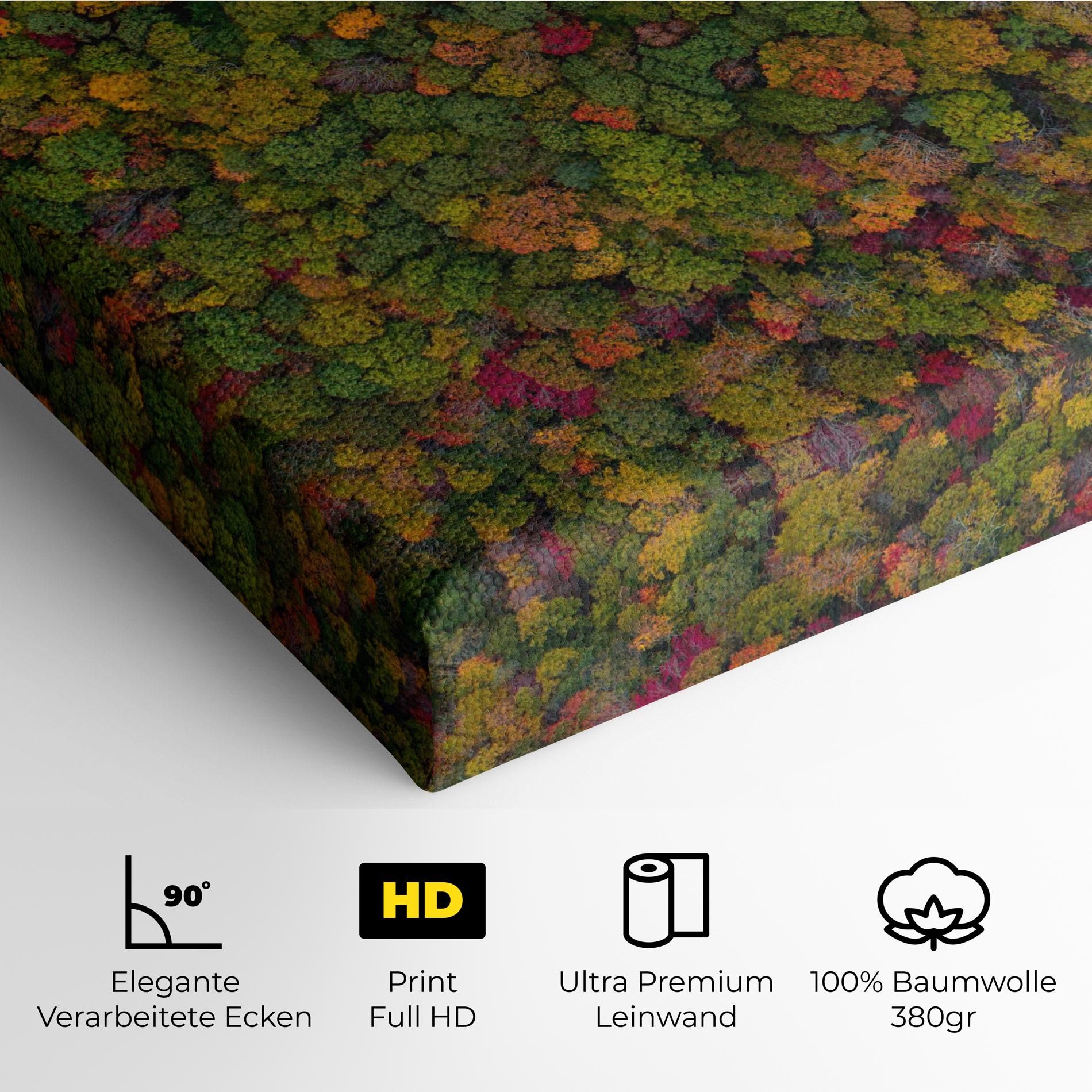 Color Mix Forest mockup 4
