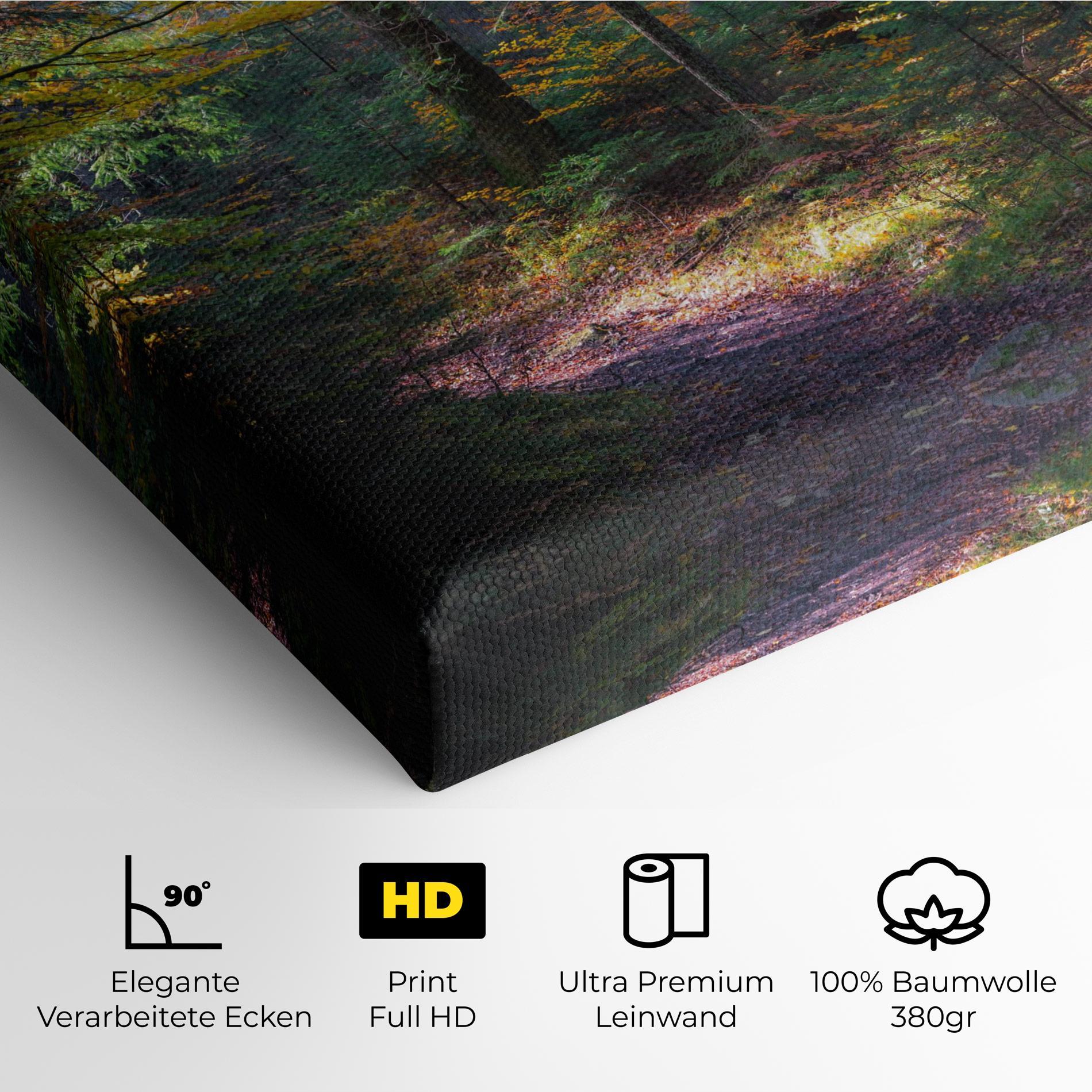 Leinwandbild Dreamy Path Dorest mockup 4