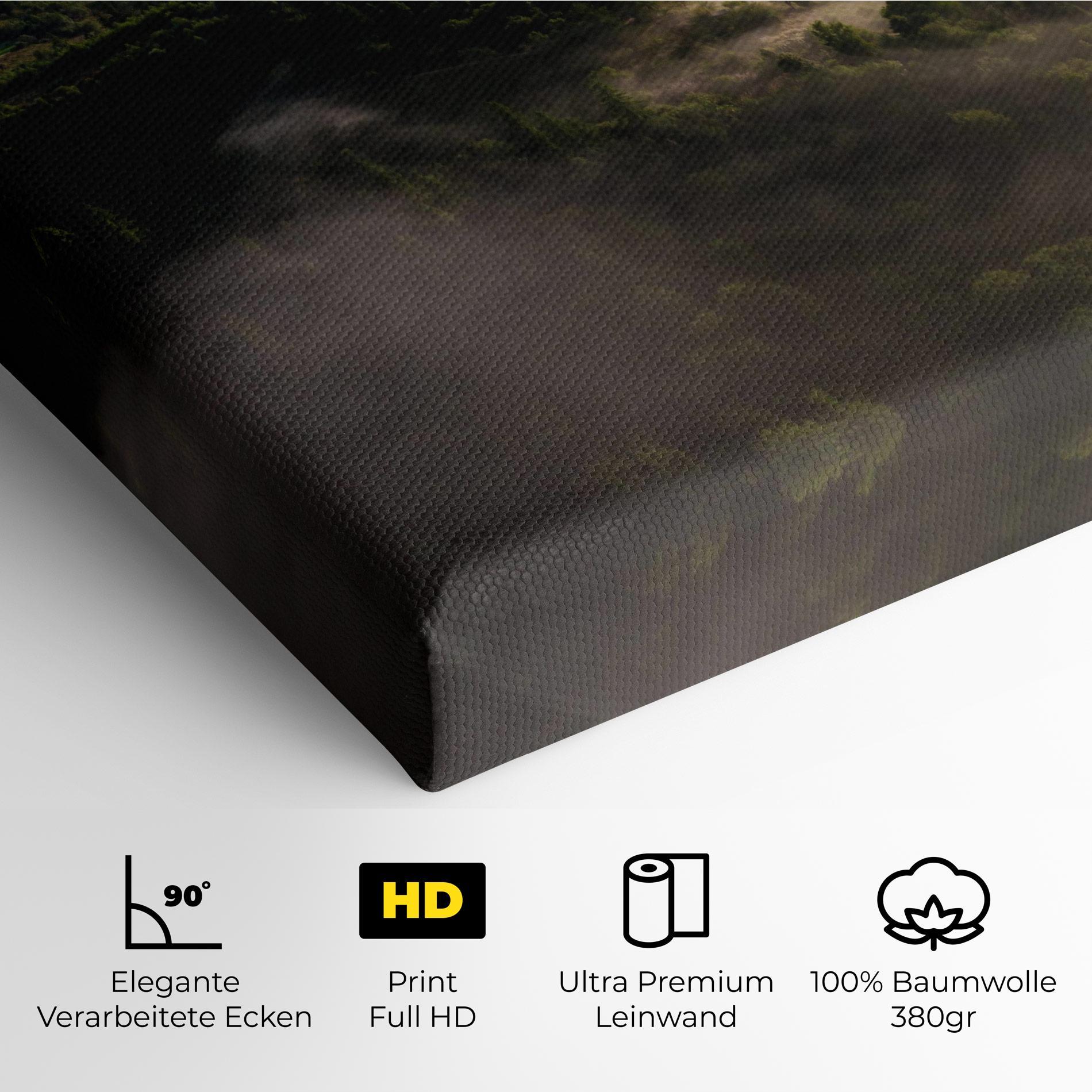 Leinwandbild Foggy Forest View mockup 4