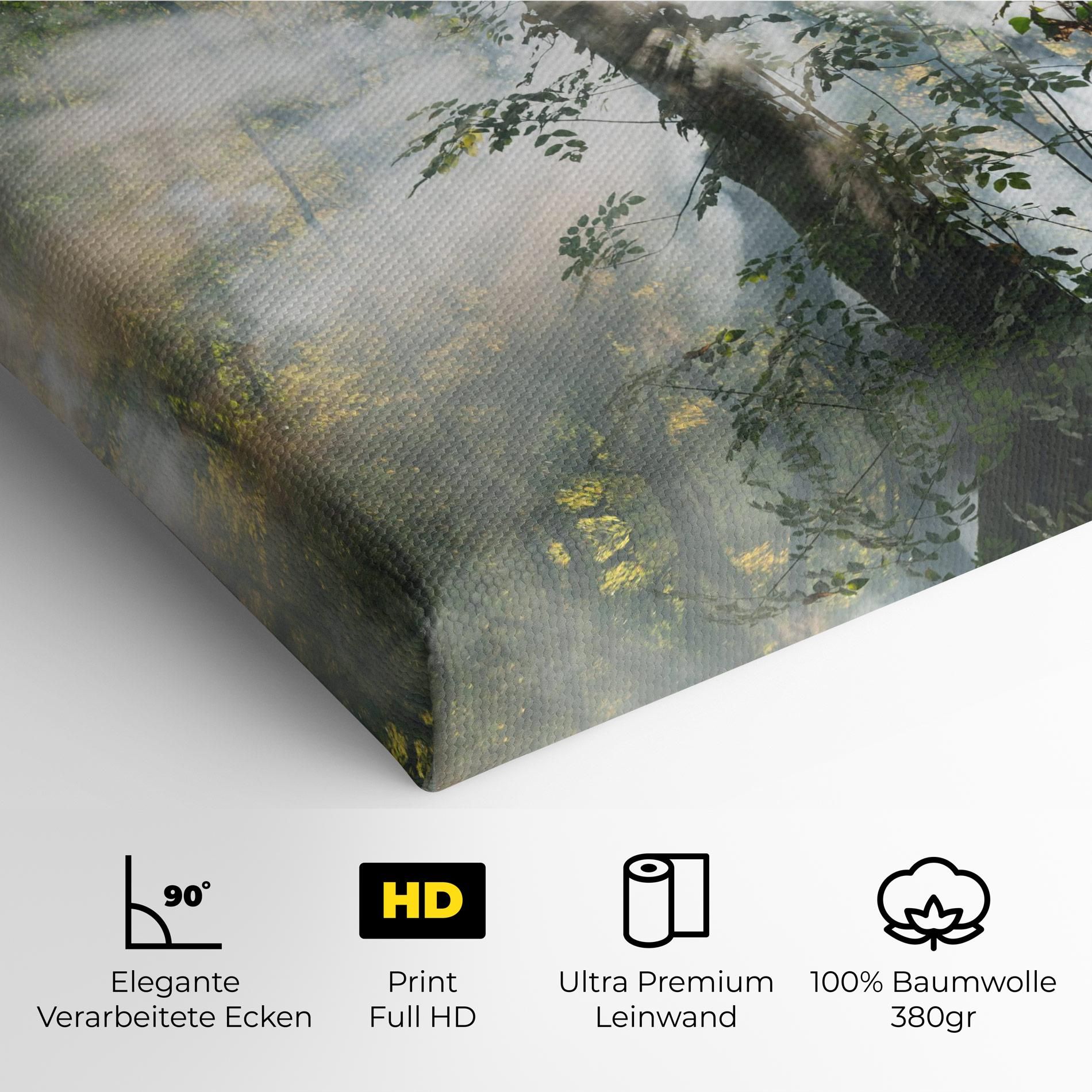 Foggy Light Forest mockup 4