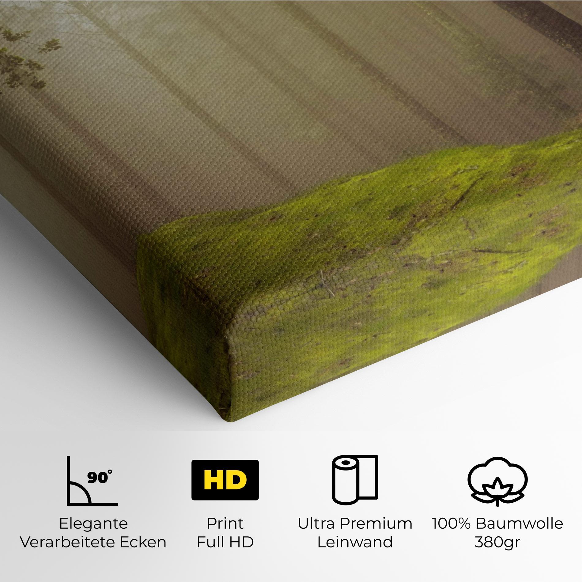 Leinwandbild Foggy Tree Art mockup 4