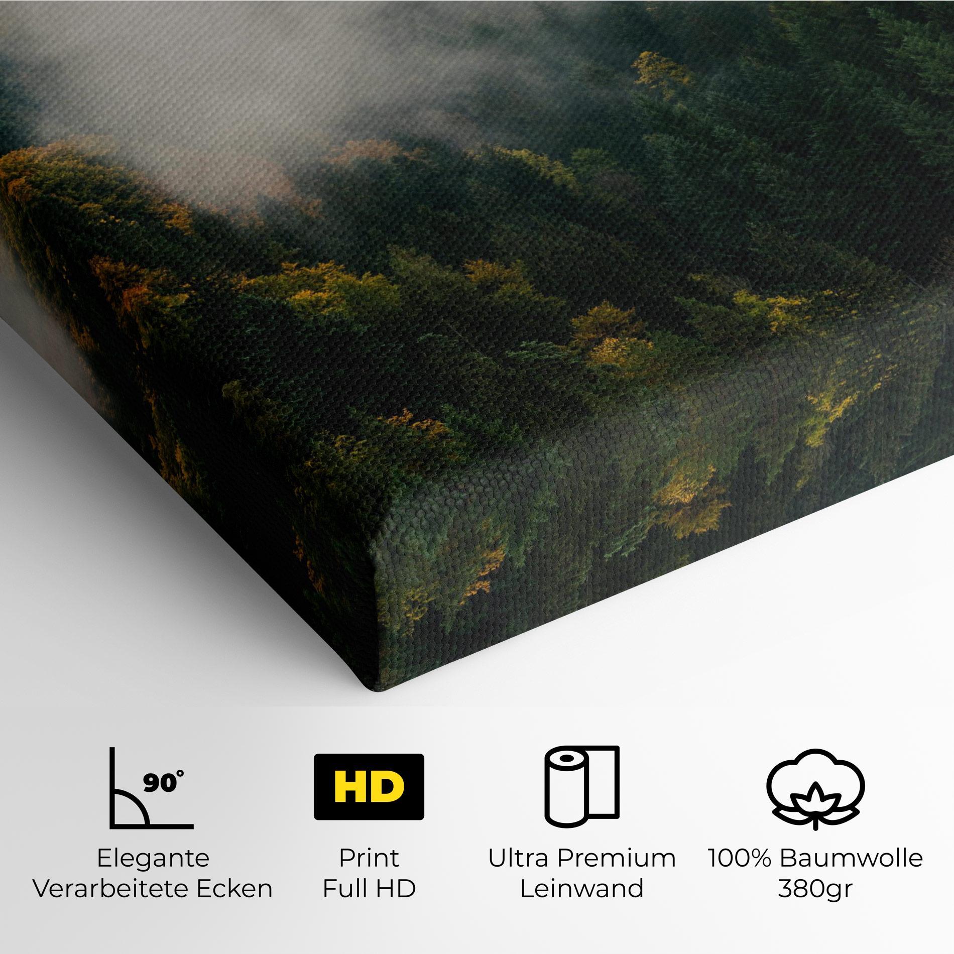 Leinwandbild Foggy Tree Forest mockup 4