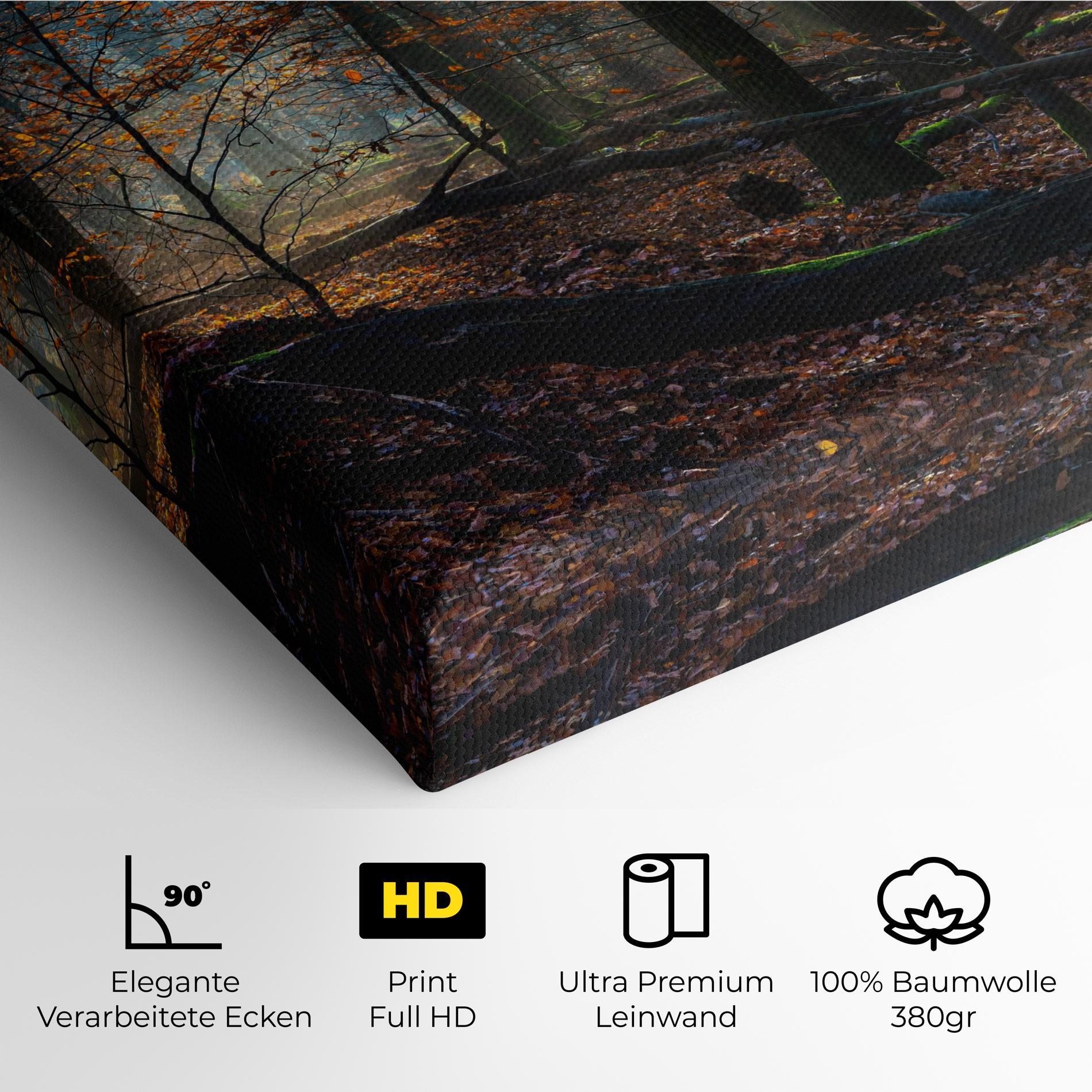 Leinwandbild Forest Autumn Day mockup 4