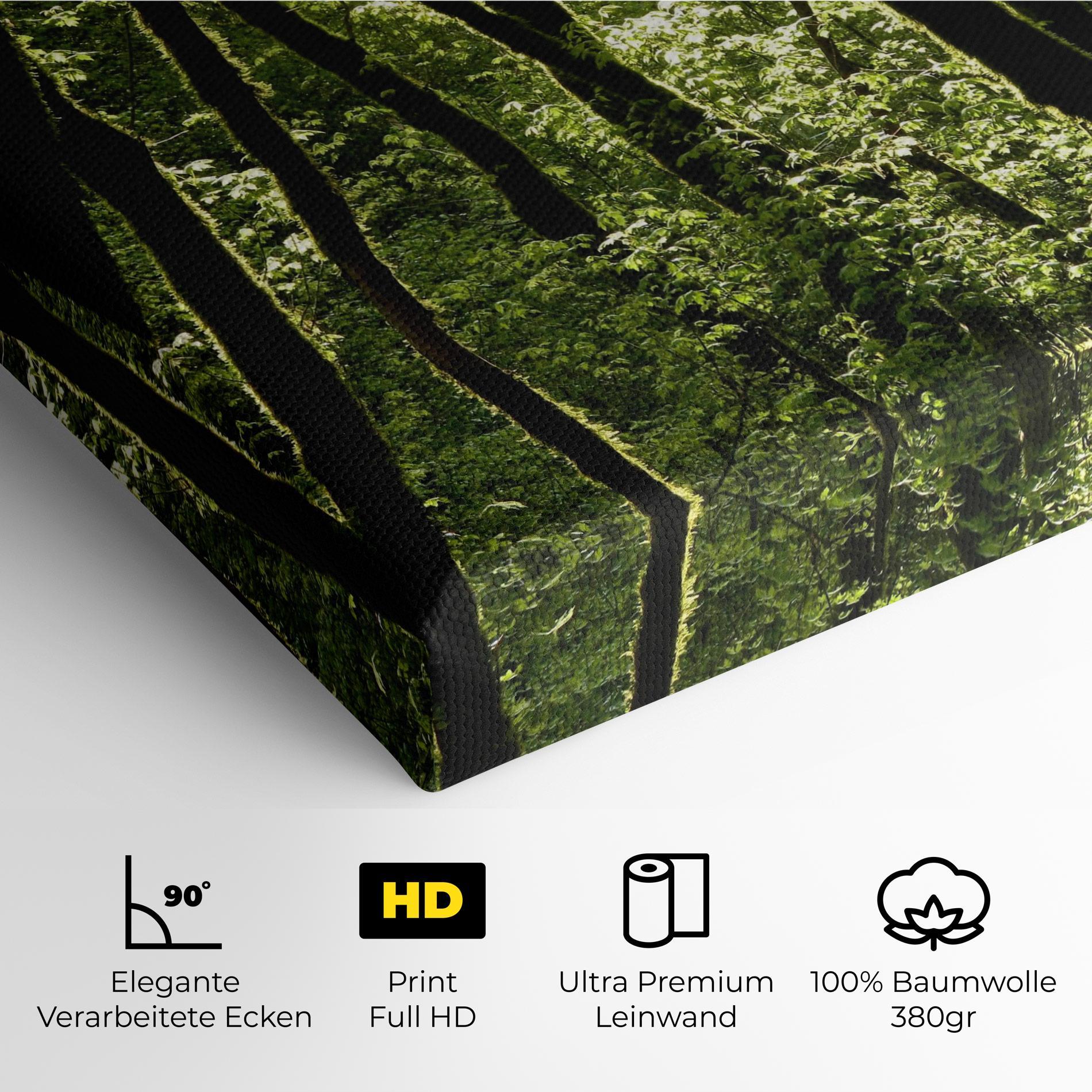 Leinwandbild Forest Black Trees mockup 4
