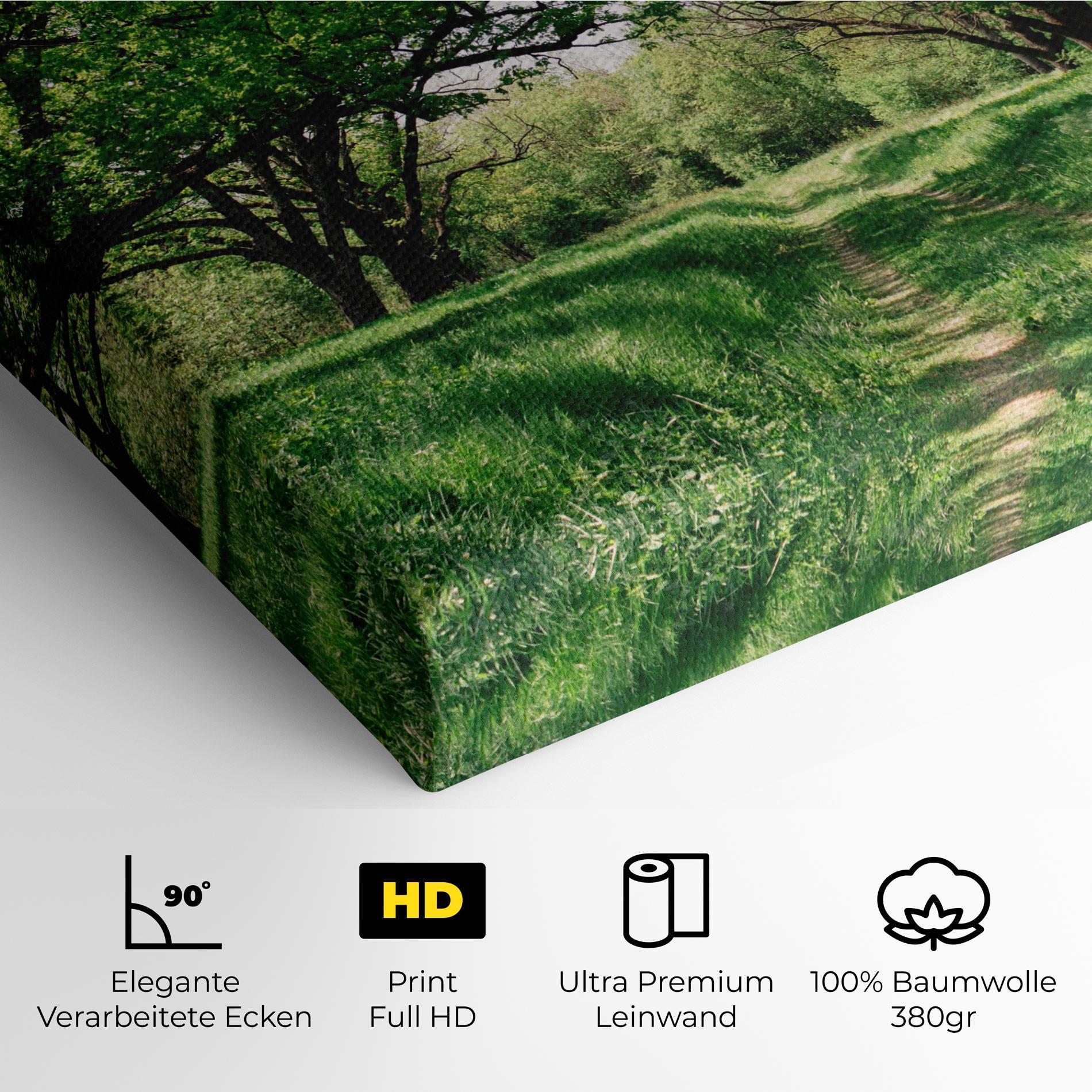 Leinwandbild Forest Green Path mockup 4