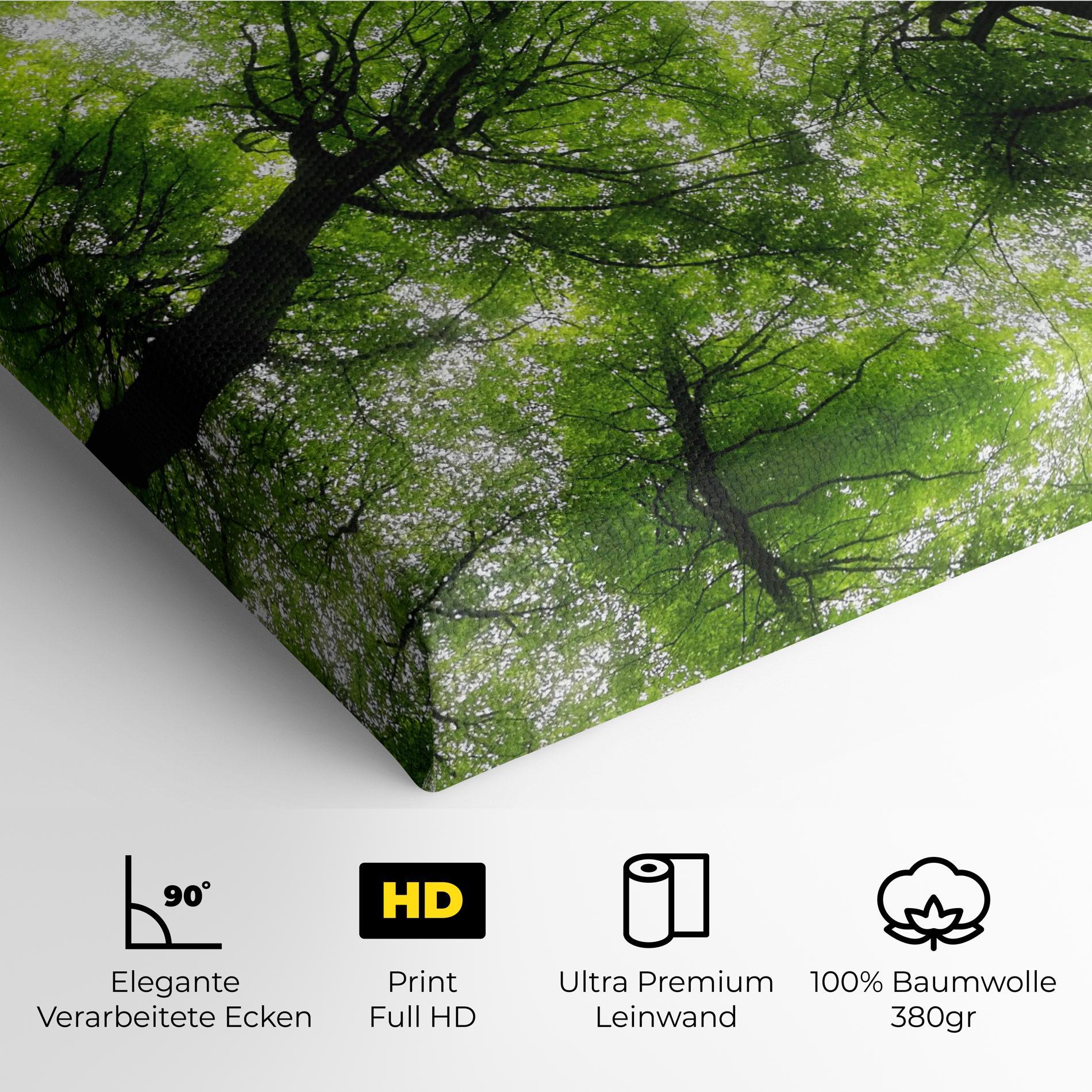 Leinwandbild Forest Green Tree mockup 4
