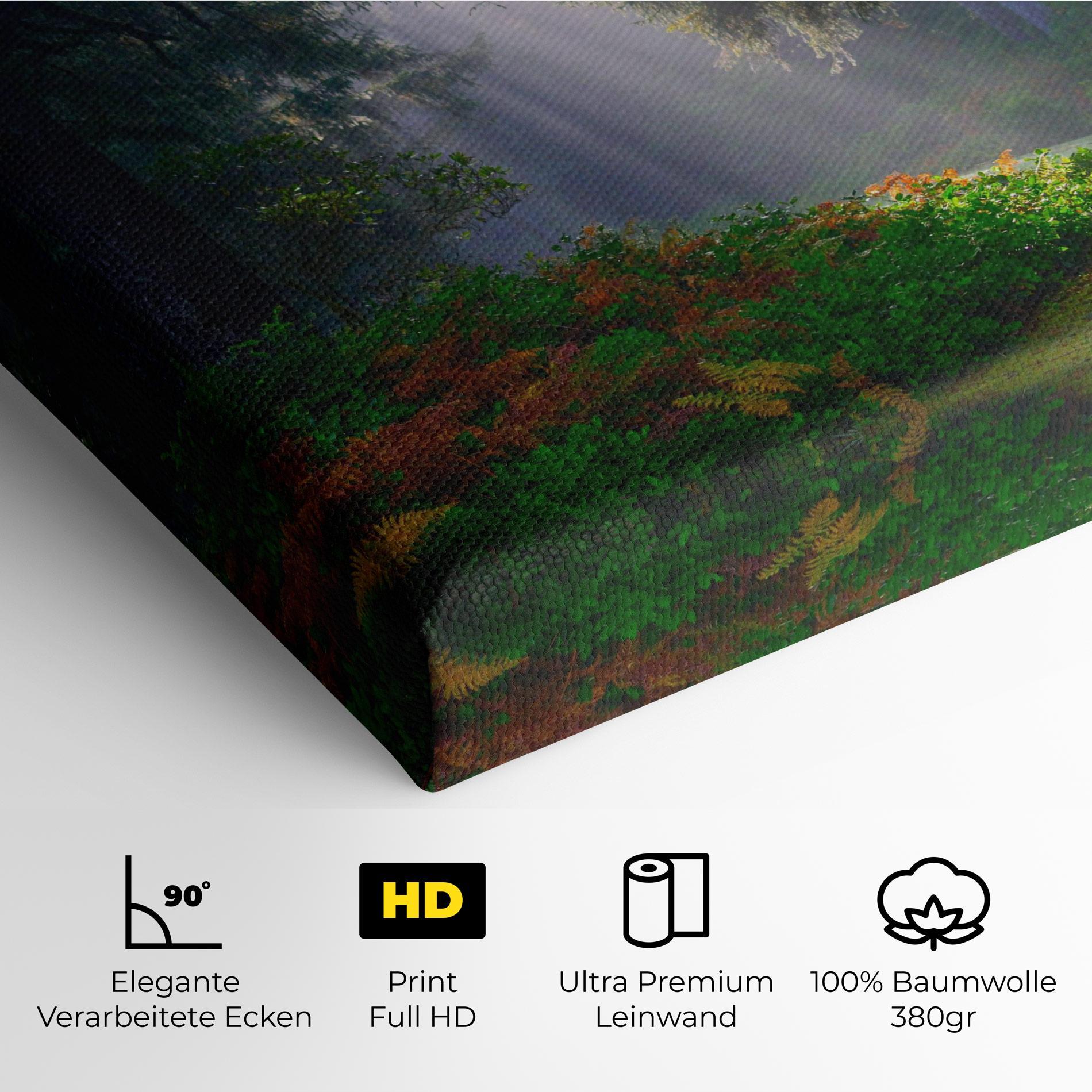 Leinwandbild Forest Light mockup 4
