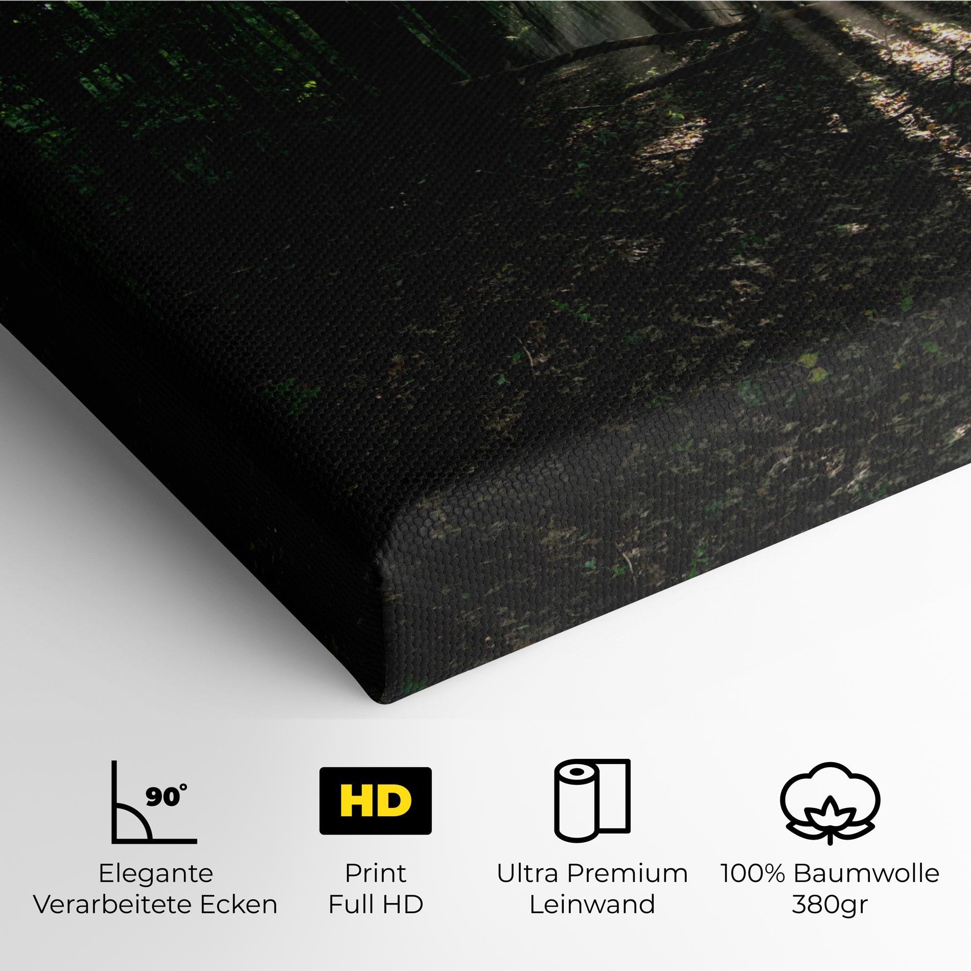 Leinwandbild Forest Sun Light mockup 4