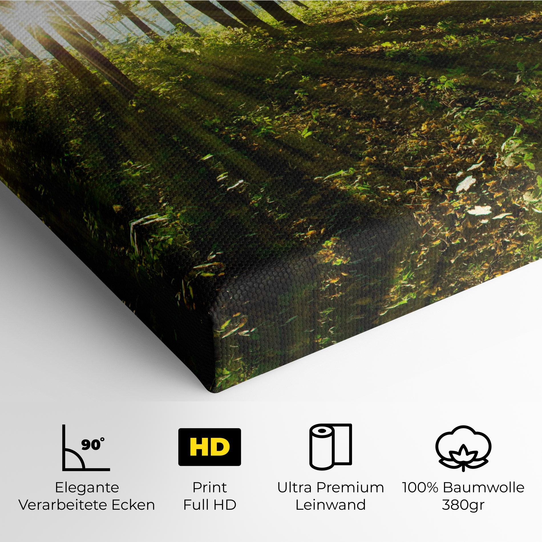 Leinwandbild Green Light Forest mockup 4